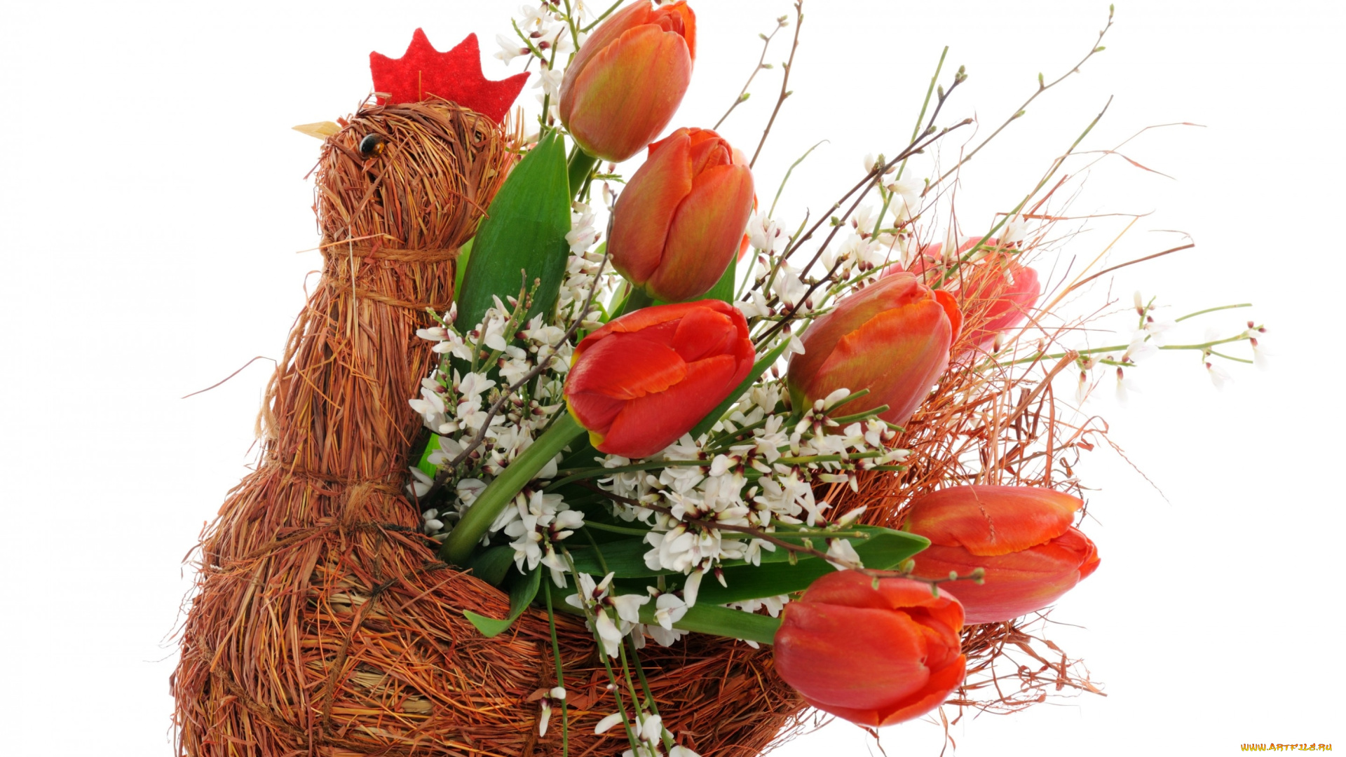 цветы, тюльпаны, букет