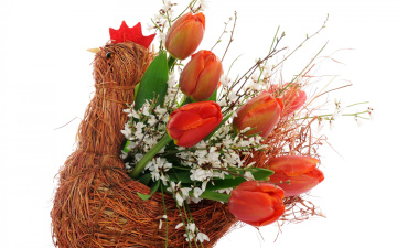 обоя цветы, тюльпаны, букет