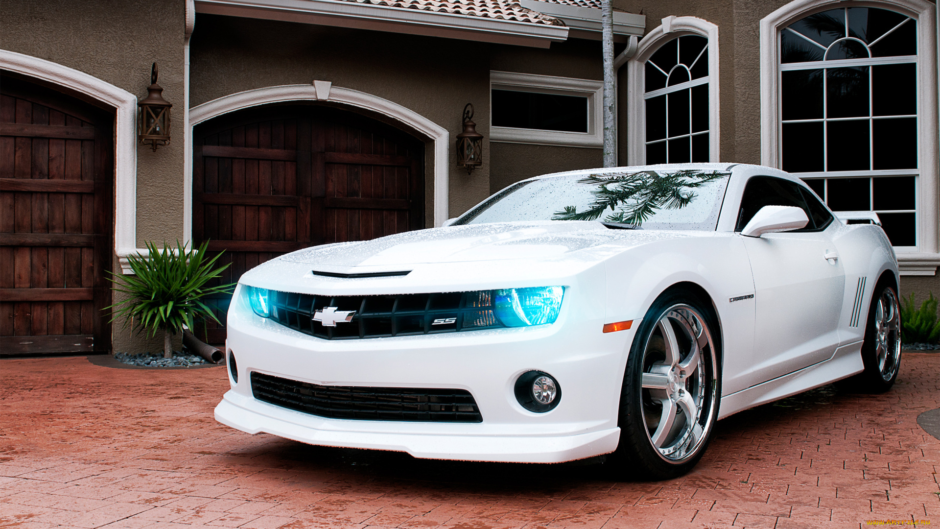 автомобили, camaro