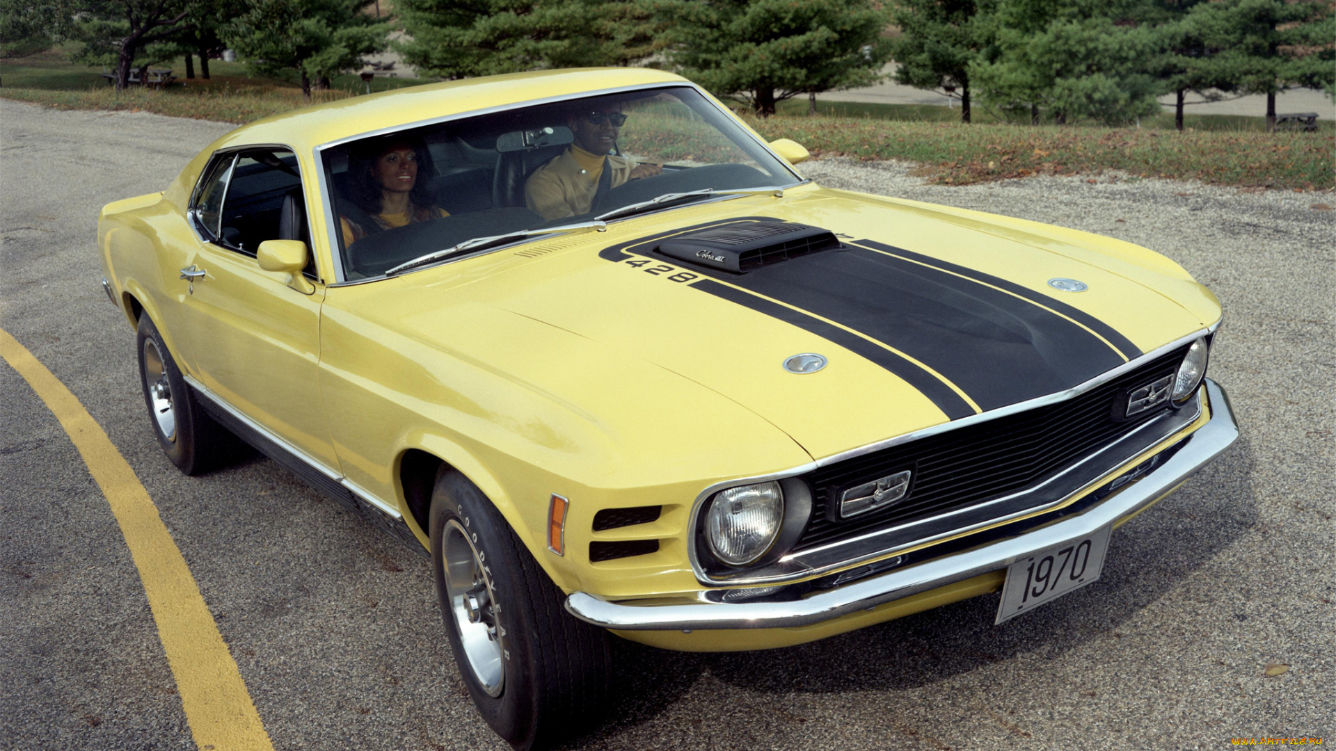 автомобили, mustang