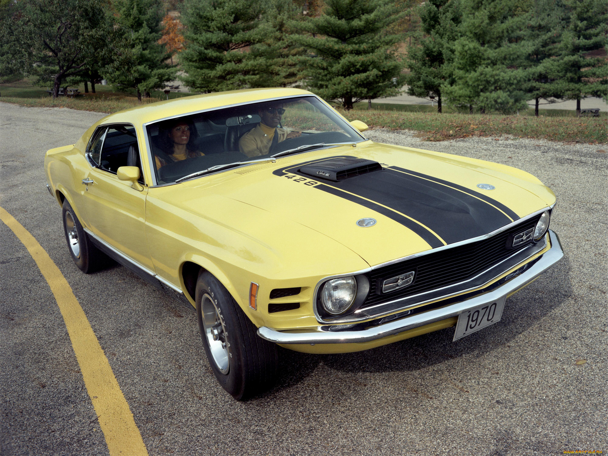 автомобили, mustang