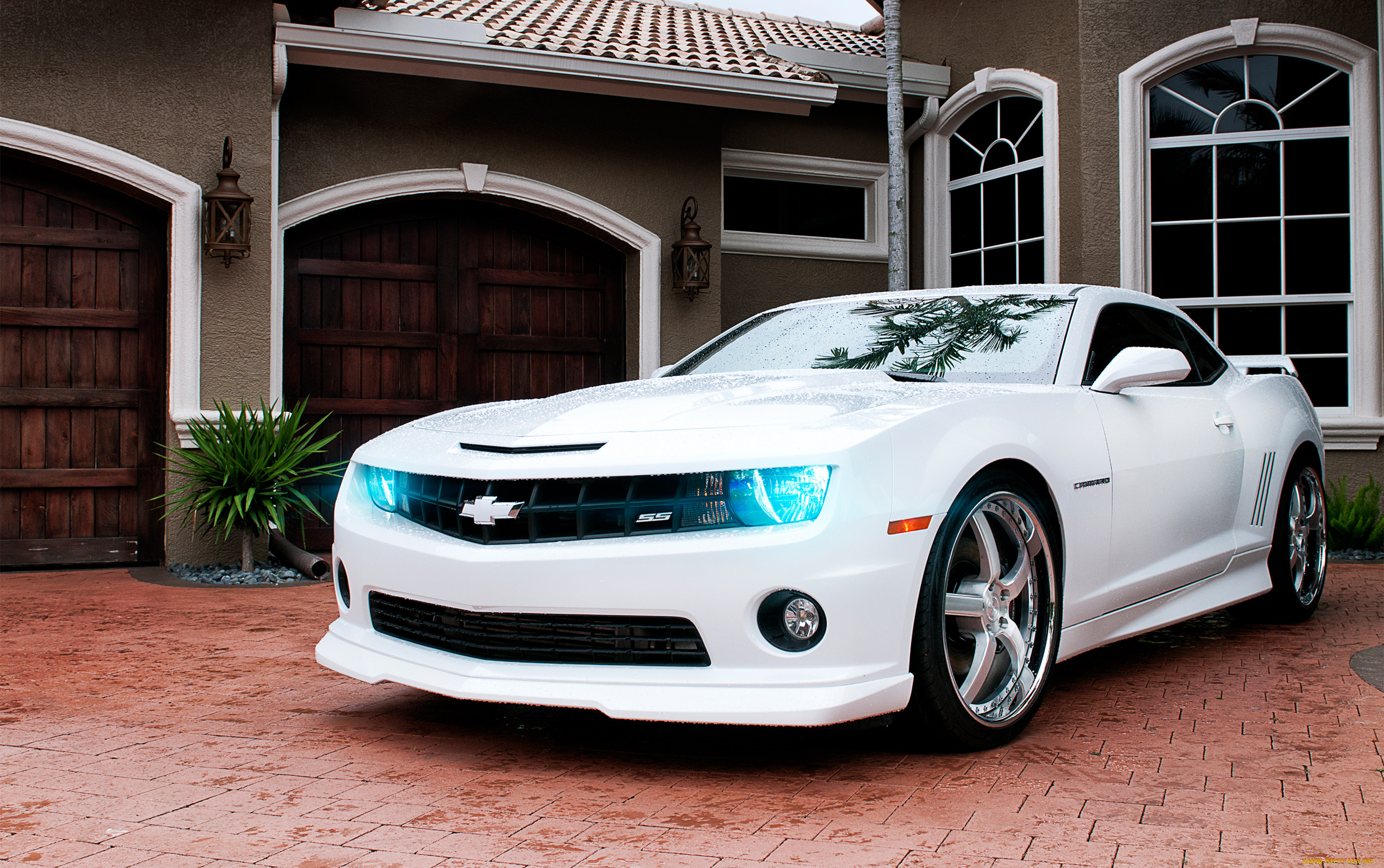 автомобили, camaro