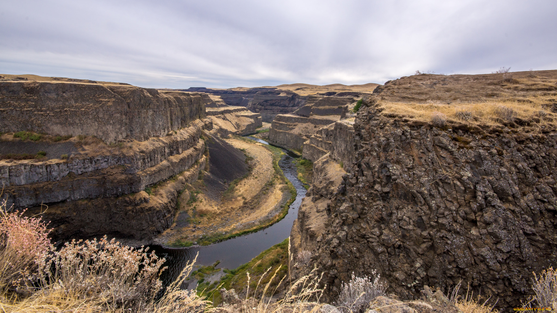природа, реки, озера, лес, река
