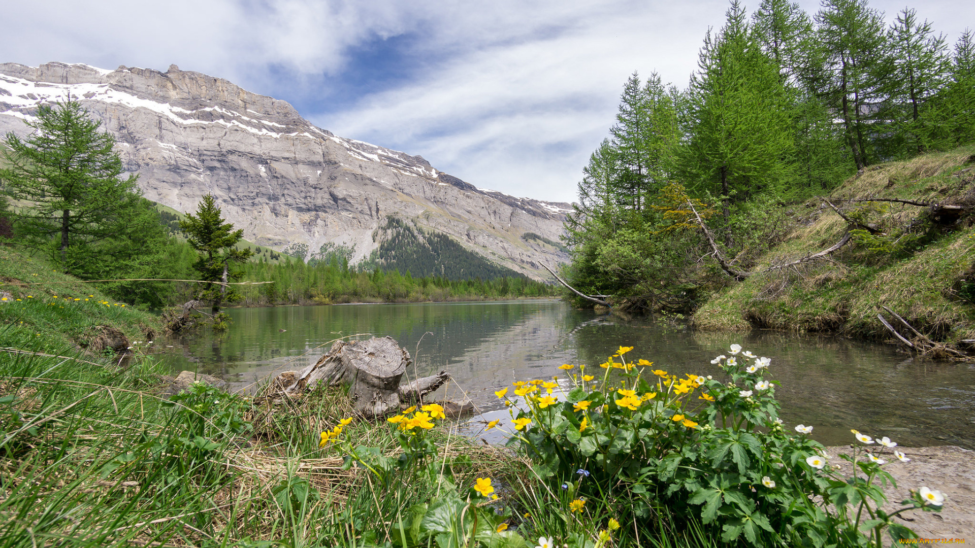 природа, реки, озера, лес, река