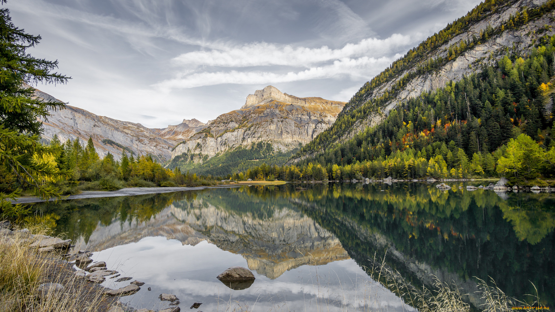 природа, реки, озера, лес, река