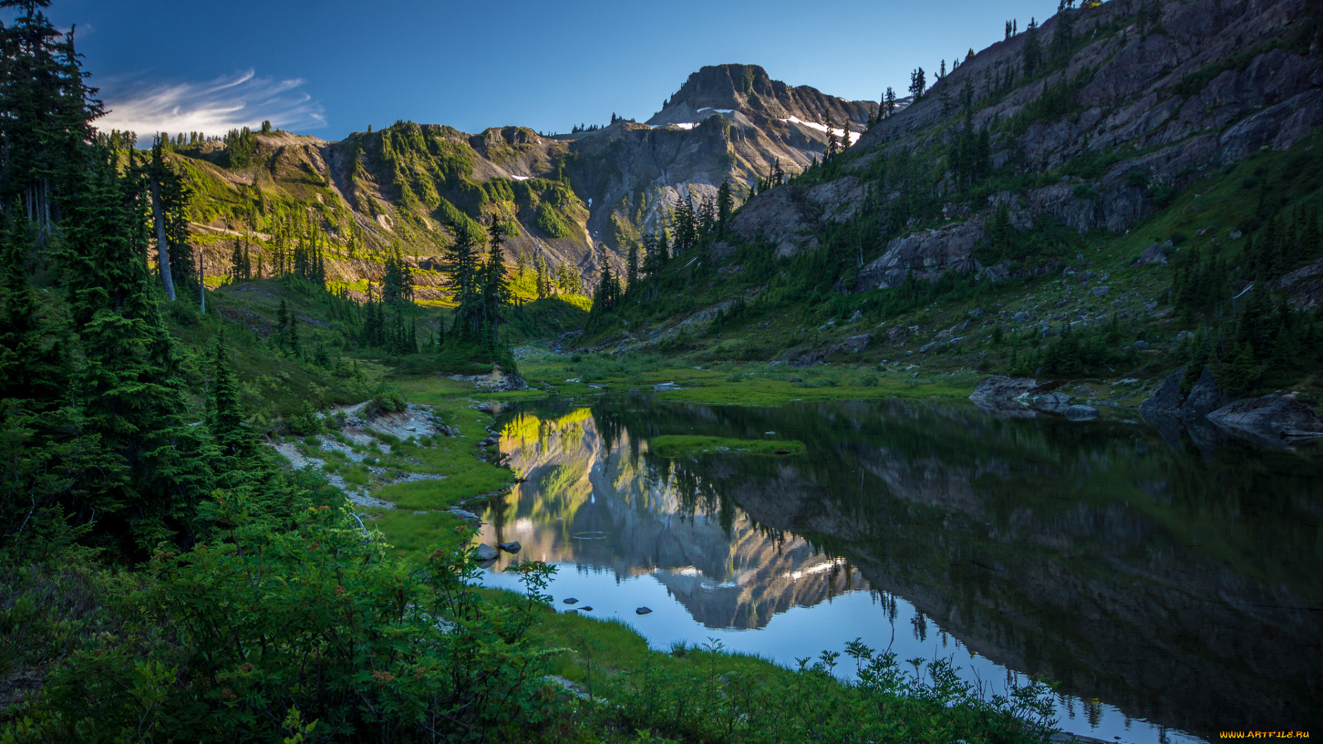 природа, реки, озера, лес, река