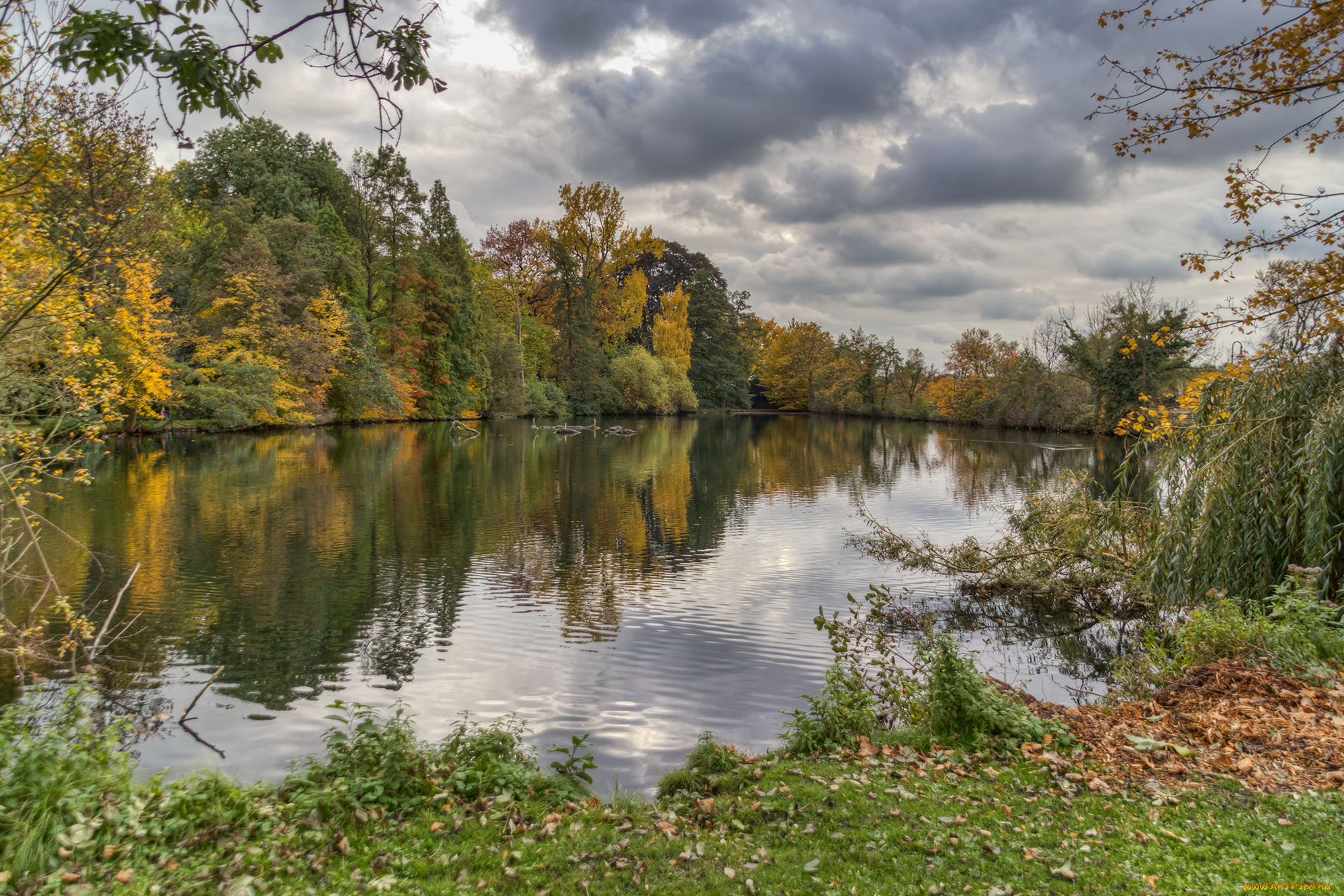 природа, реки, озера, лес, река