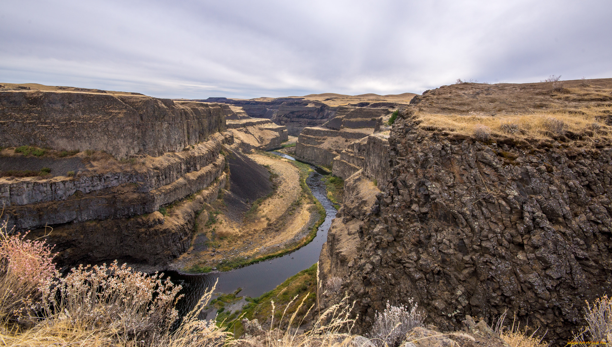 природа, реки, озера, лес, река