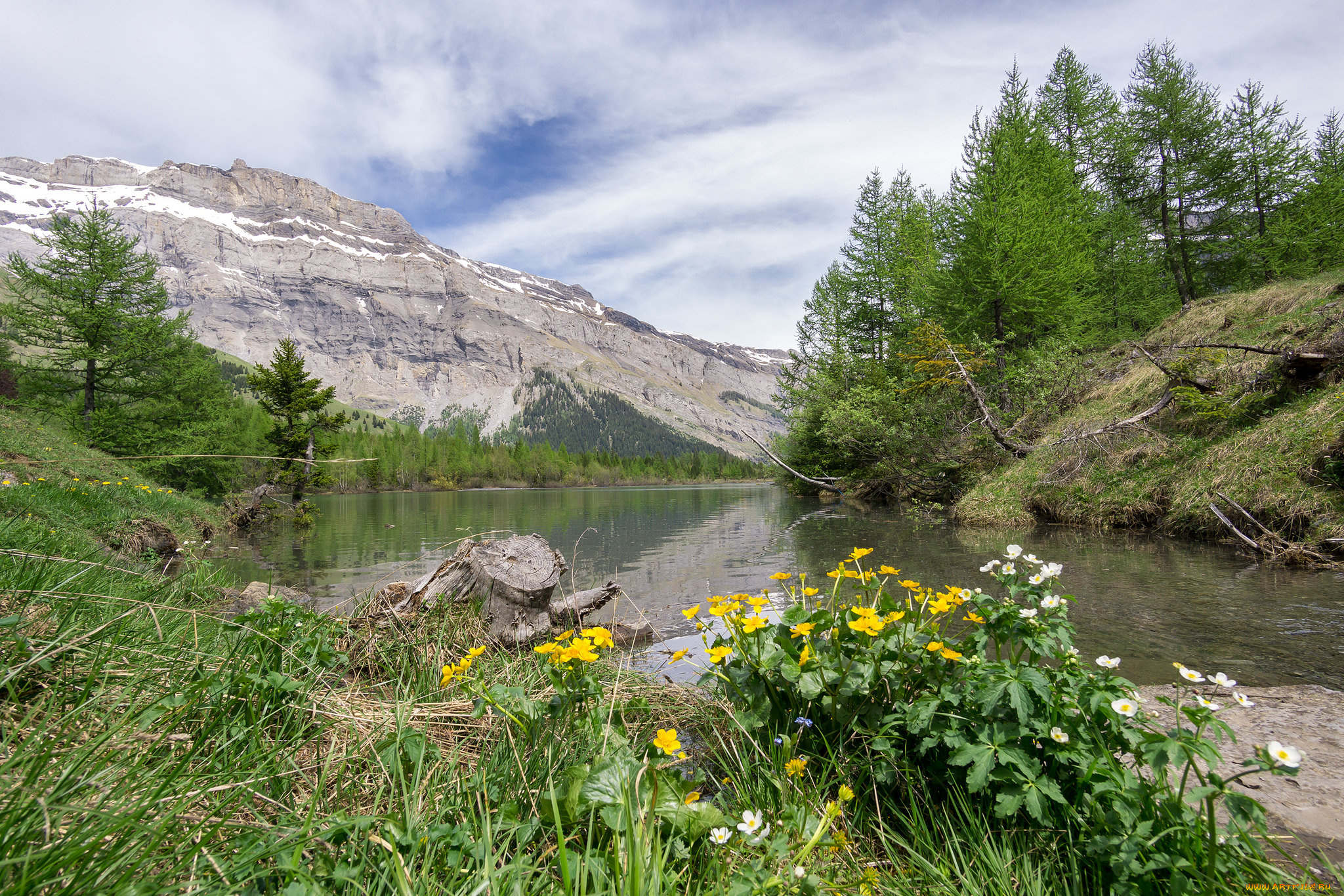 природа, реки, озера, лес, река