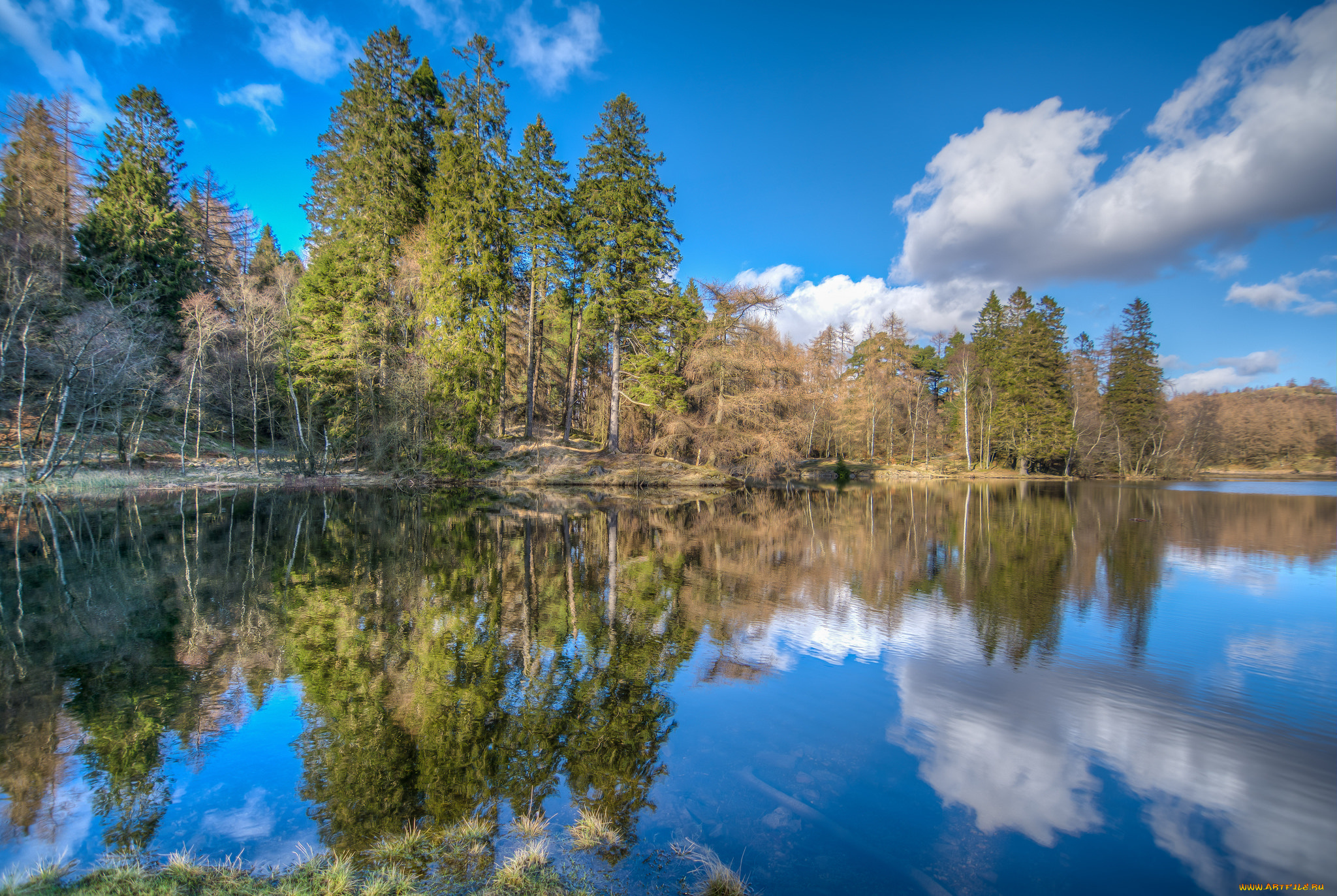 природа, реки, озера, лес, река