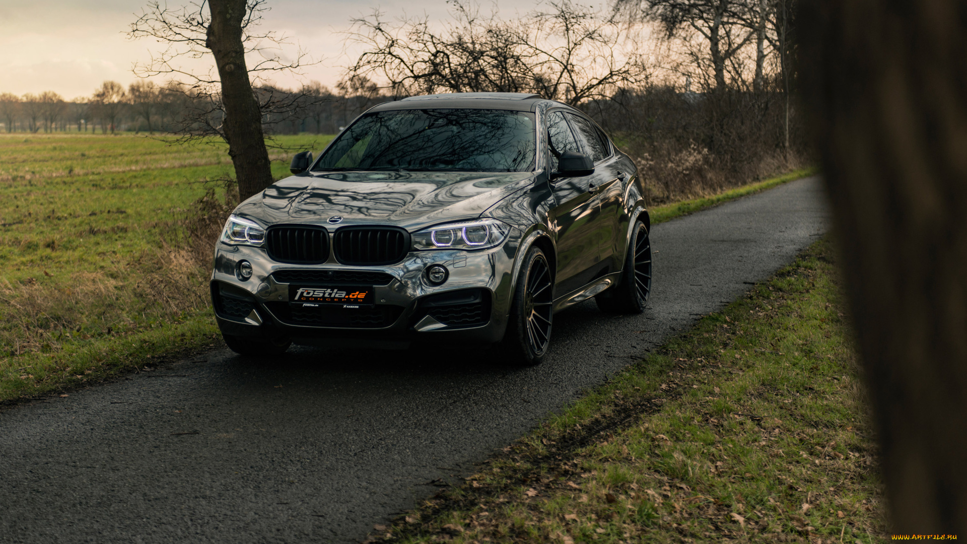 2018, fostla, de, bmw, x6, m50d, f16, автомобили, bmw, аллея, 2018, fostla, de, x6, m50d, f16, кроссовер