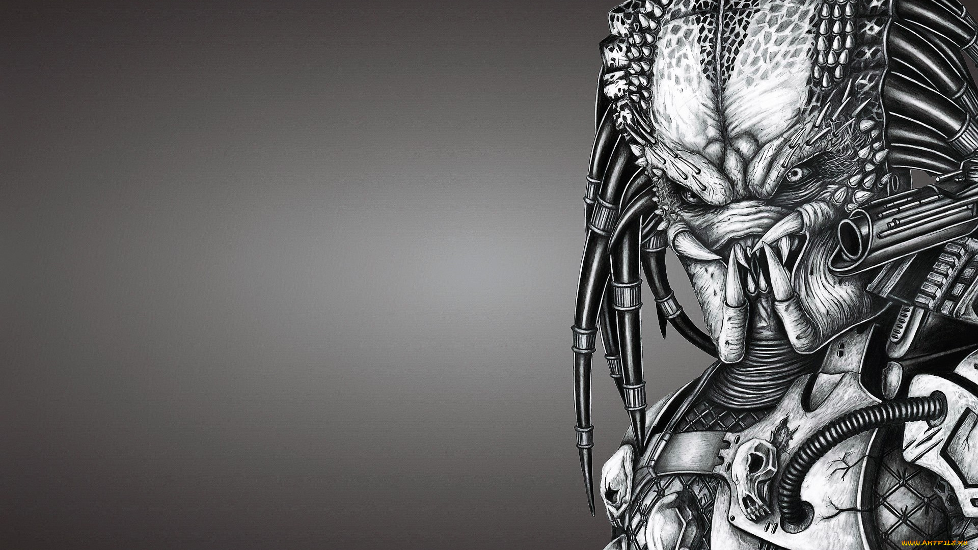 фэнтези, хищник, , predator, хищник, инопланетянин