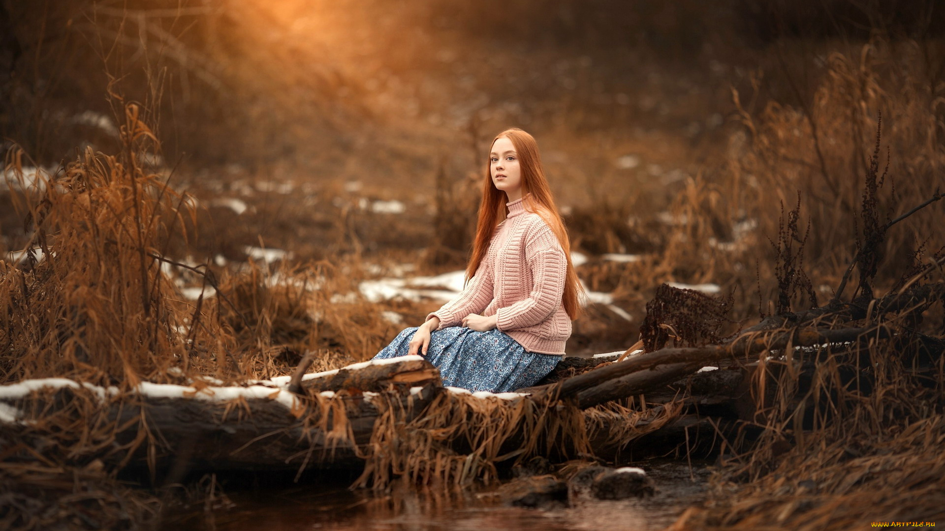 девушки, -, рыжеволосые, и, разноцветные, рыженькая