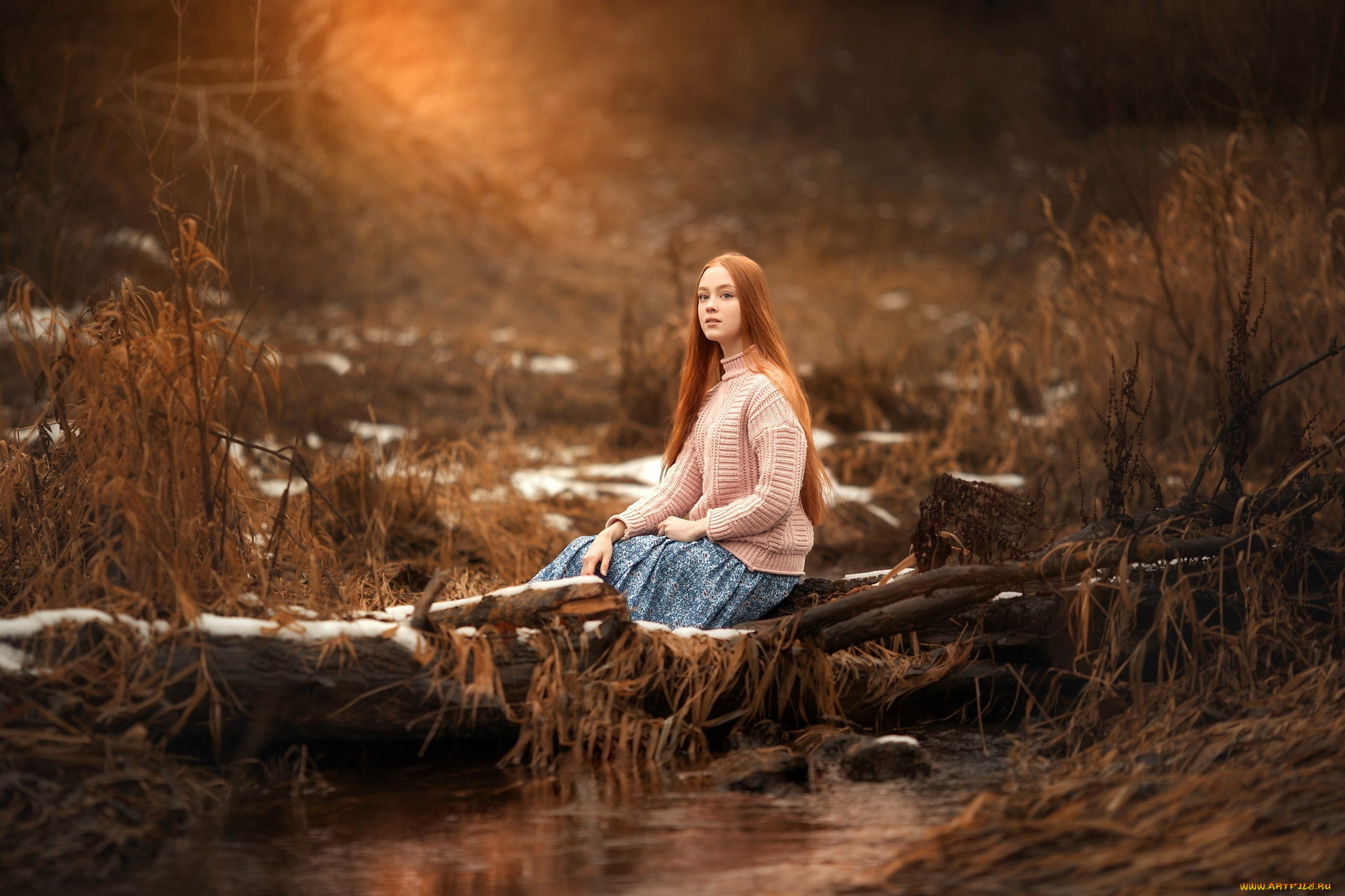 девушки, -, рыжеволосые, и, разноцветные, рыженькая