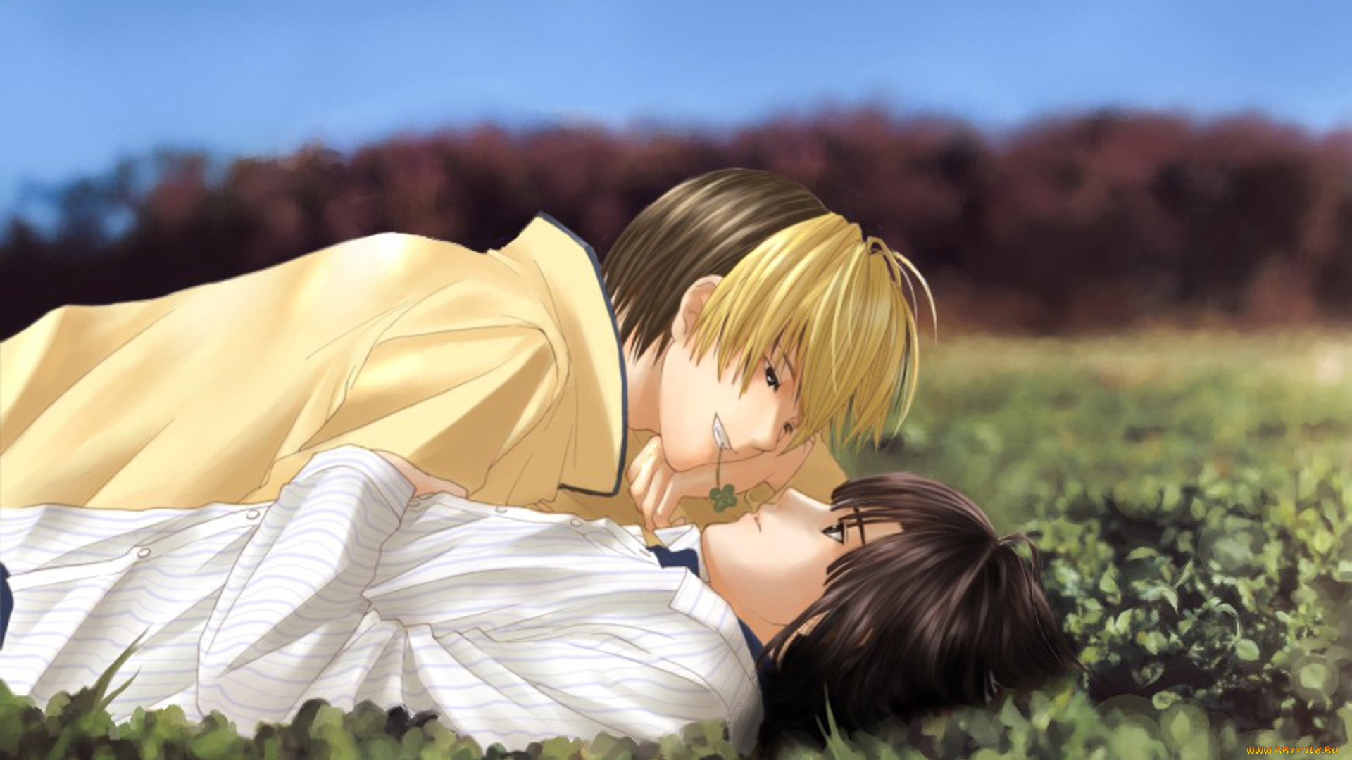 hikaru, no, go, аниме, парни, лужайка
