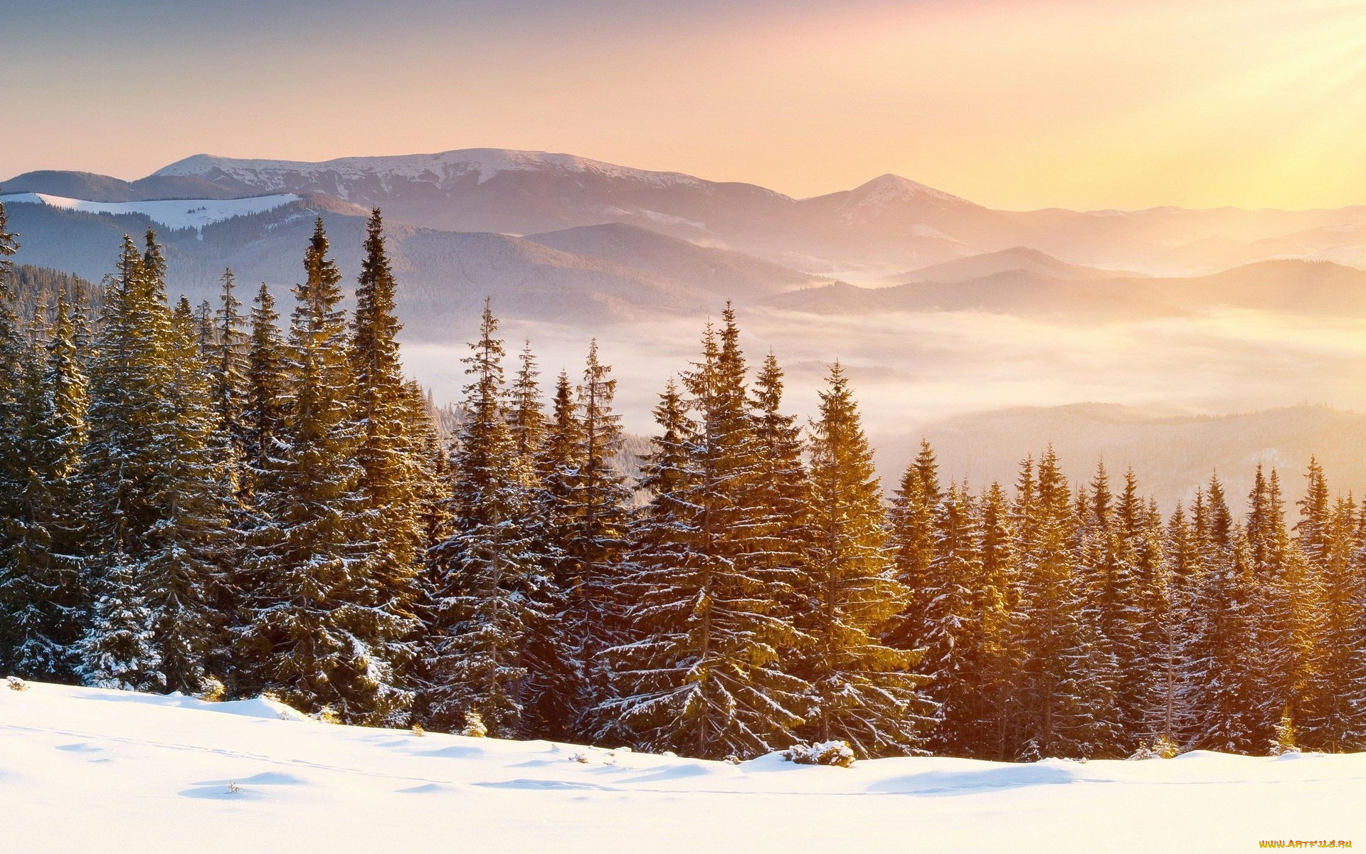 природа, горы, лес, снег