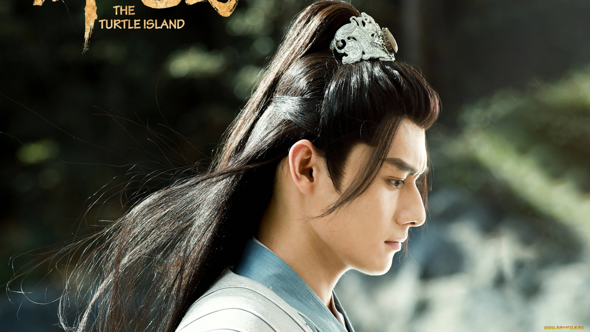 the, turtle, island, кино, фильмы, -unknown, , другое, wang, zhuocheng, ван, чжочэн