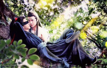 Картинка разное компьютерный+дизайн вэй усянь лань ванцзы повязка дерево