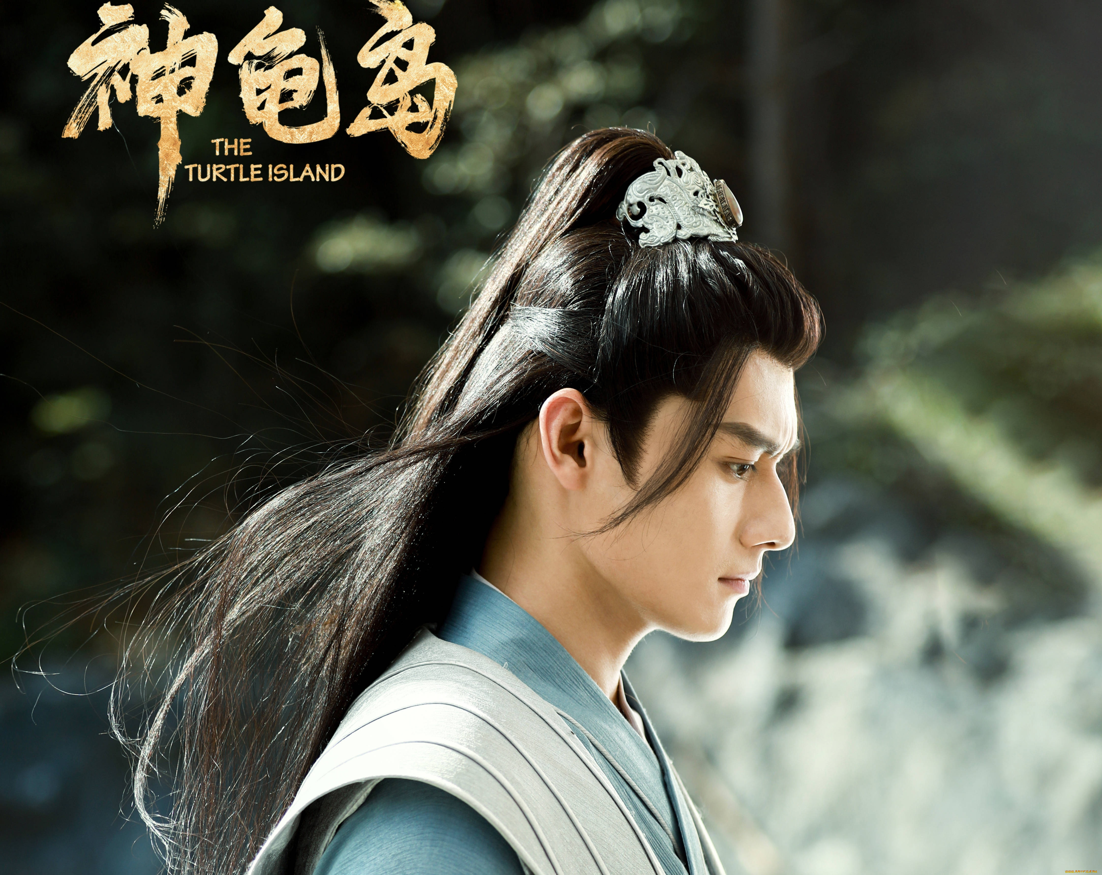 the, turtle, island, кино, фильмы, -unknown, , другое, wang, zhuocheng, ван, чжочэн