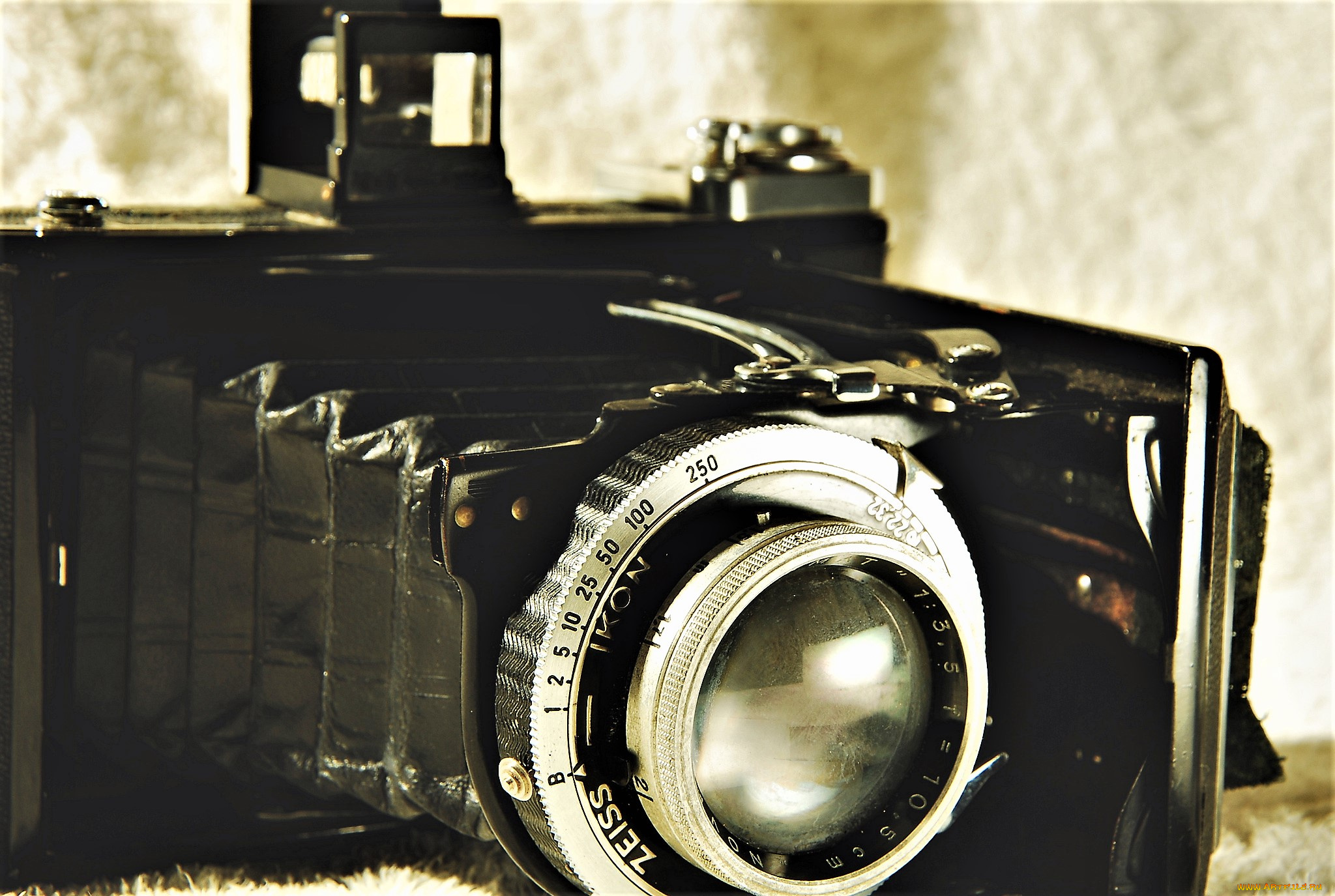 бренды, бренды, фотоаппаратов, , разное, камера, фотоаппарат