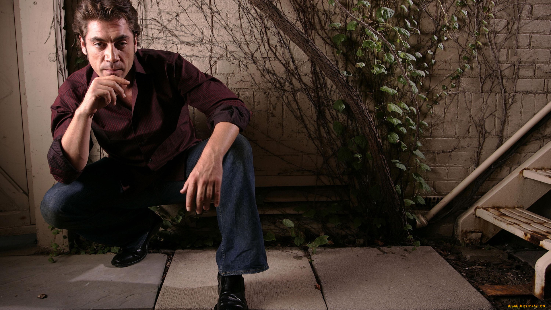 мужчины, javier, bardem, актер, рубашка, джинсы, двор