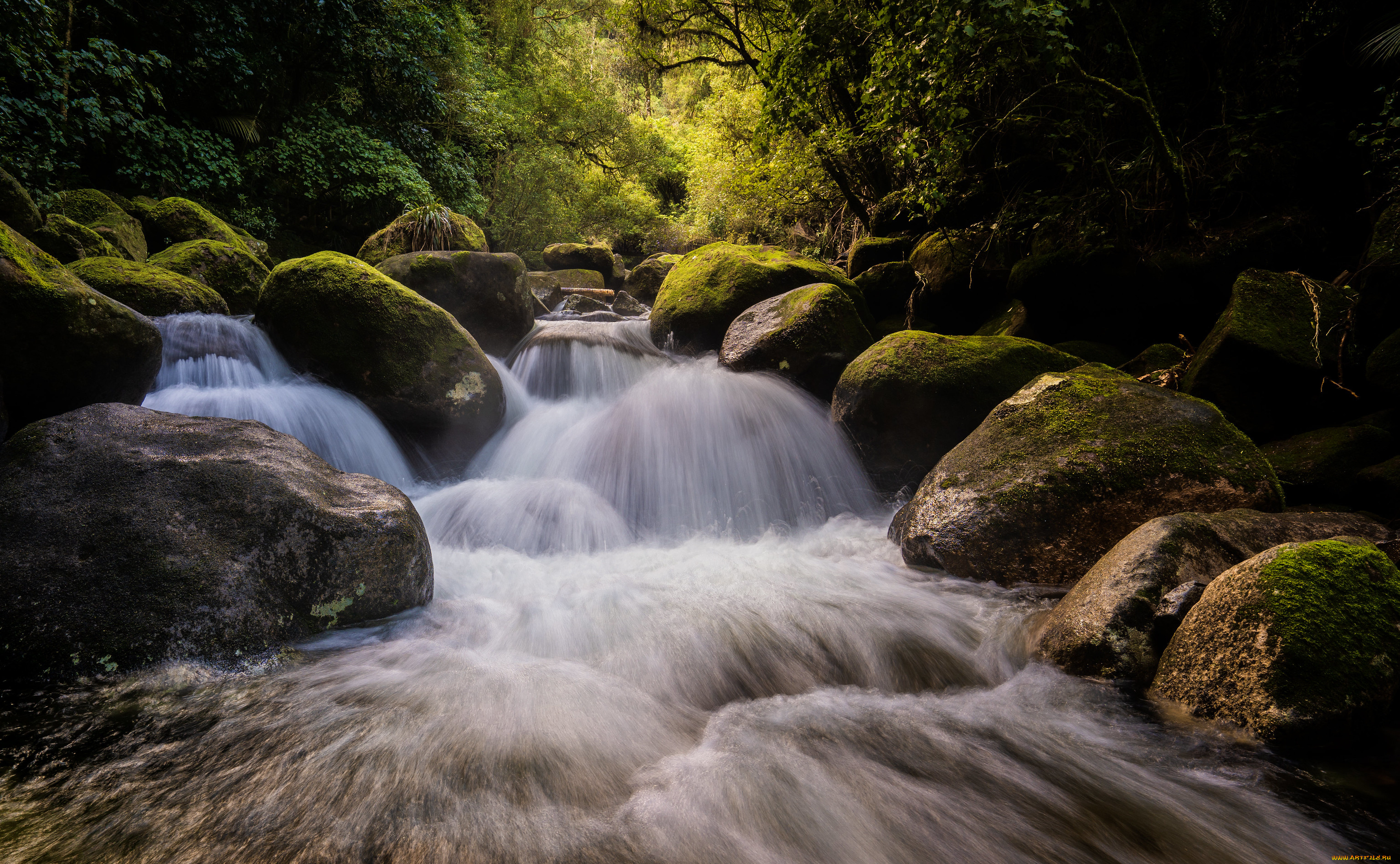 природа, реки, озера, река