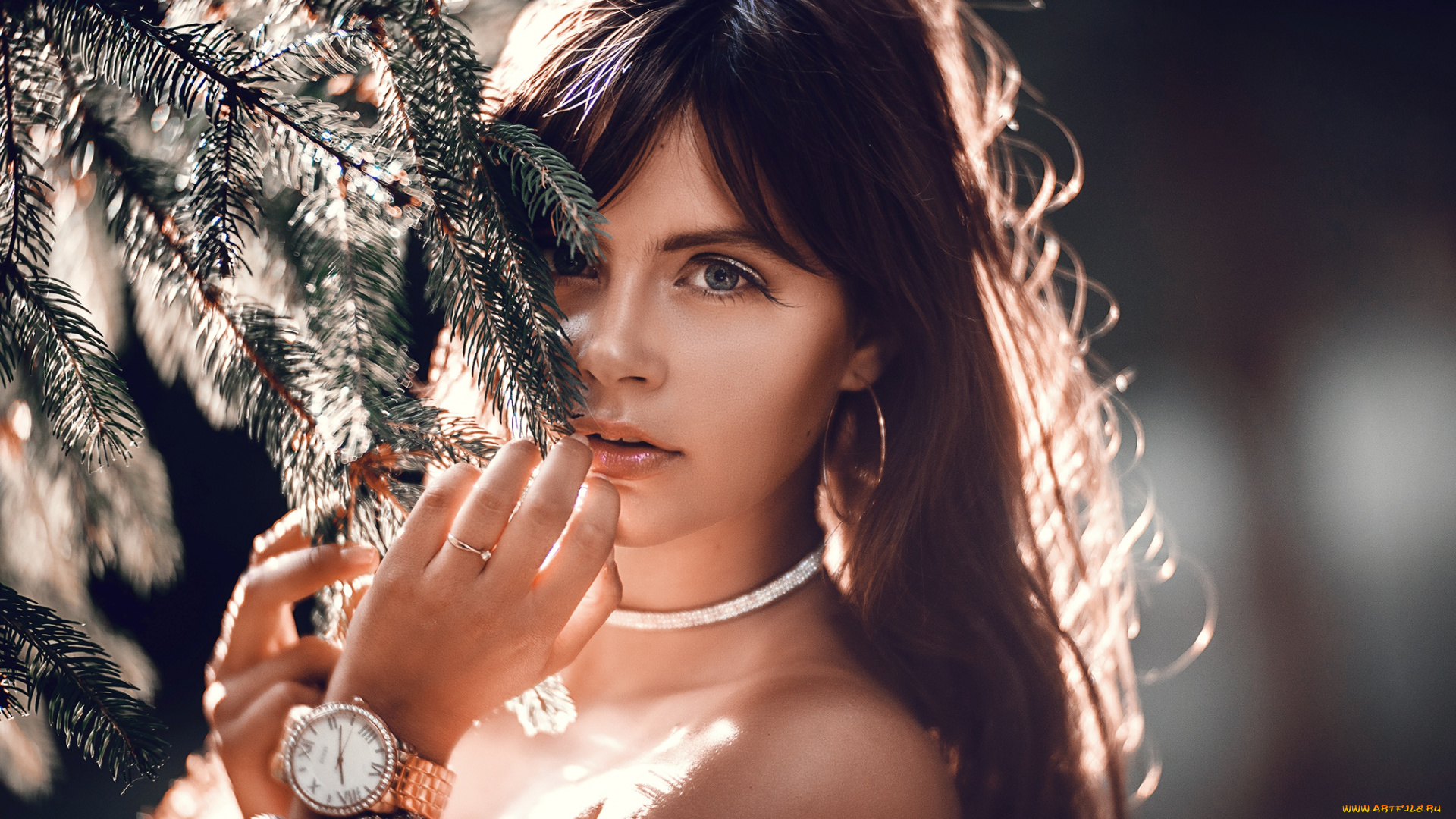 девушки, -, лица, , портреты, девушка