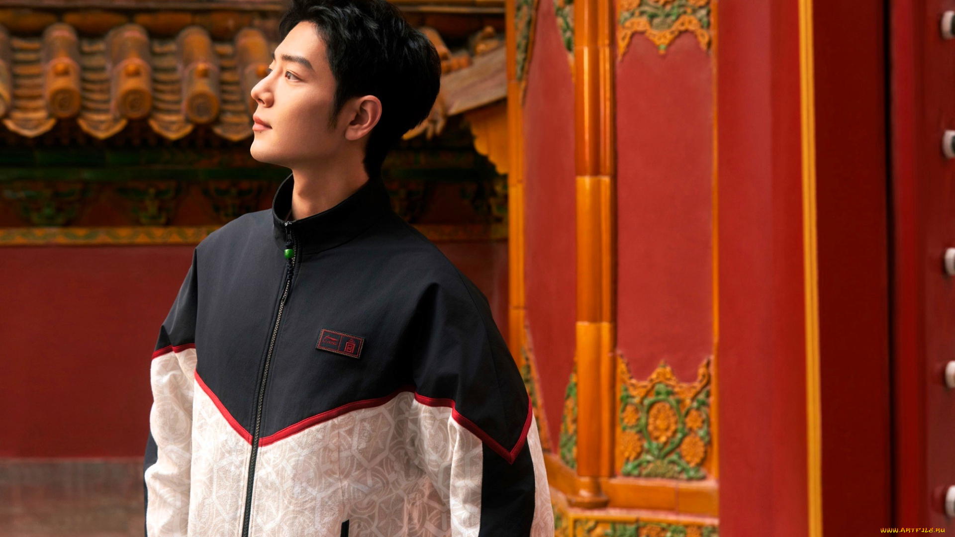 мужчины, xiao, zhan, актер, куртка, здания