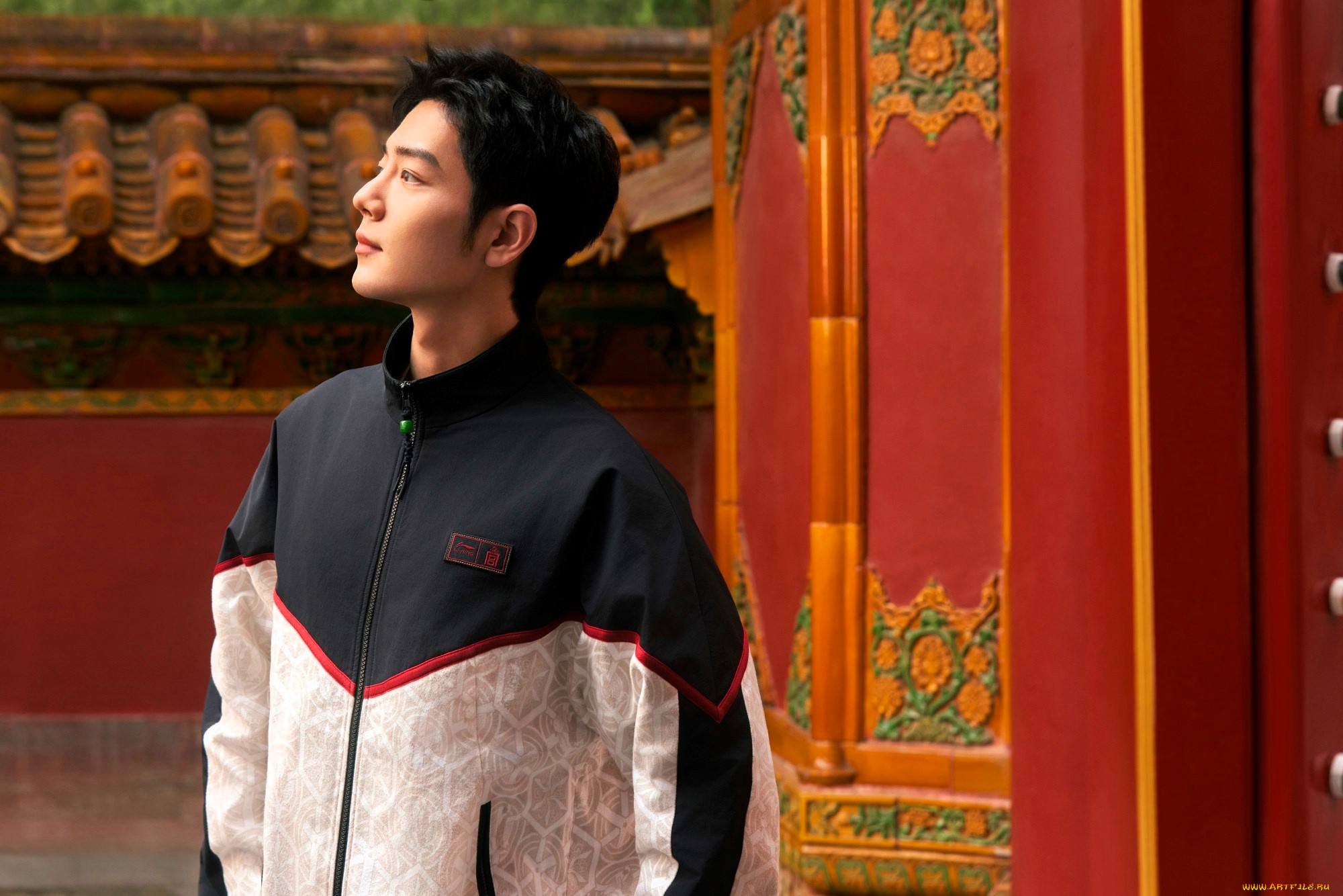 мужчины, xiao, zhan, актер, куртка, здания