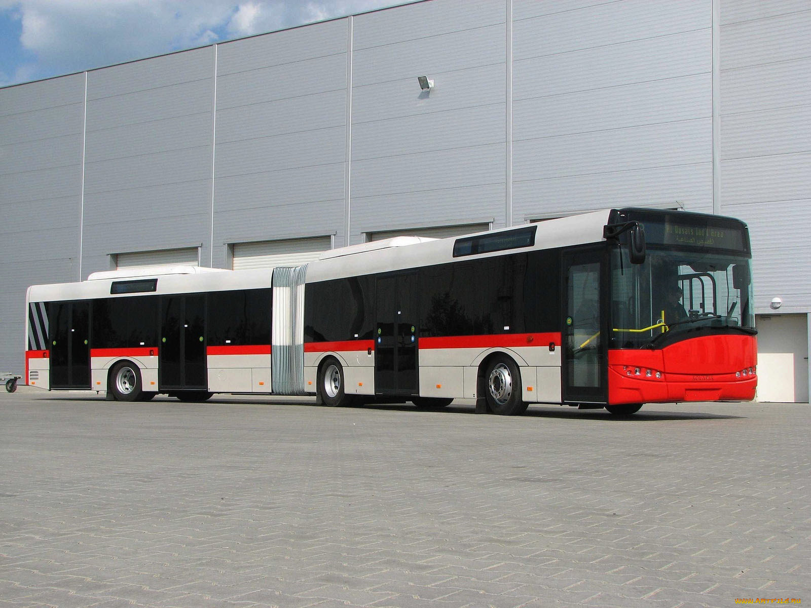 автомобили, автобусы