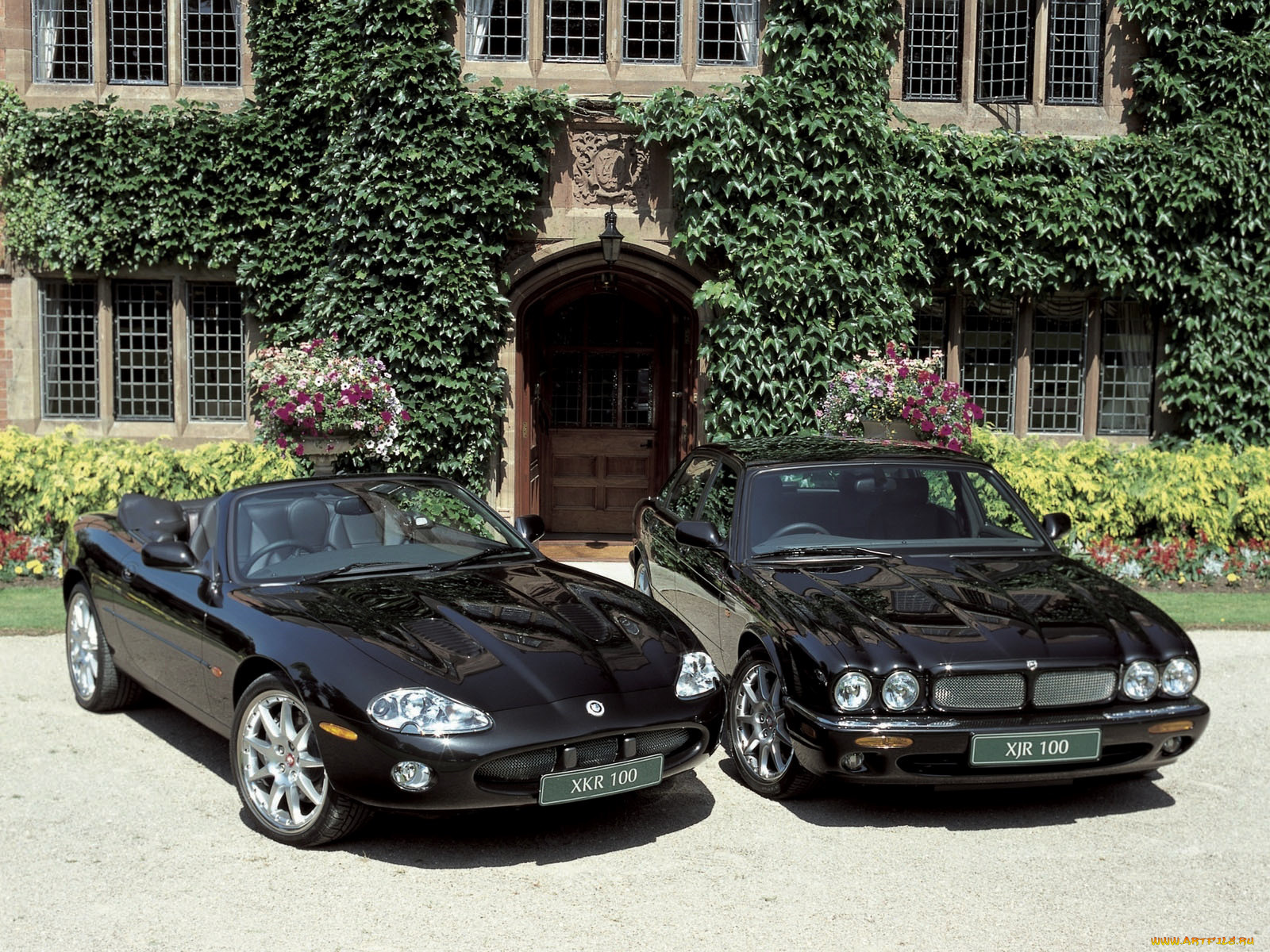автомобили, jaguar