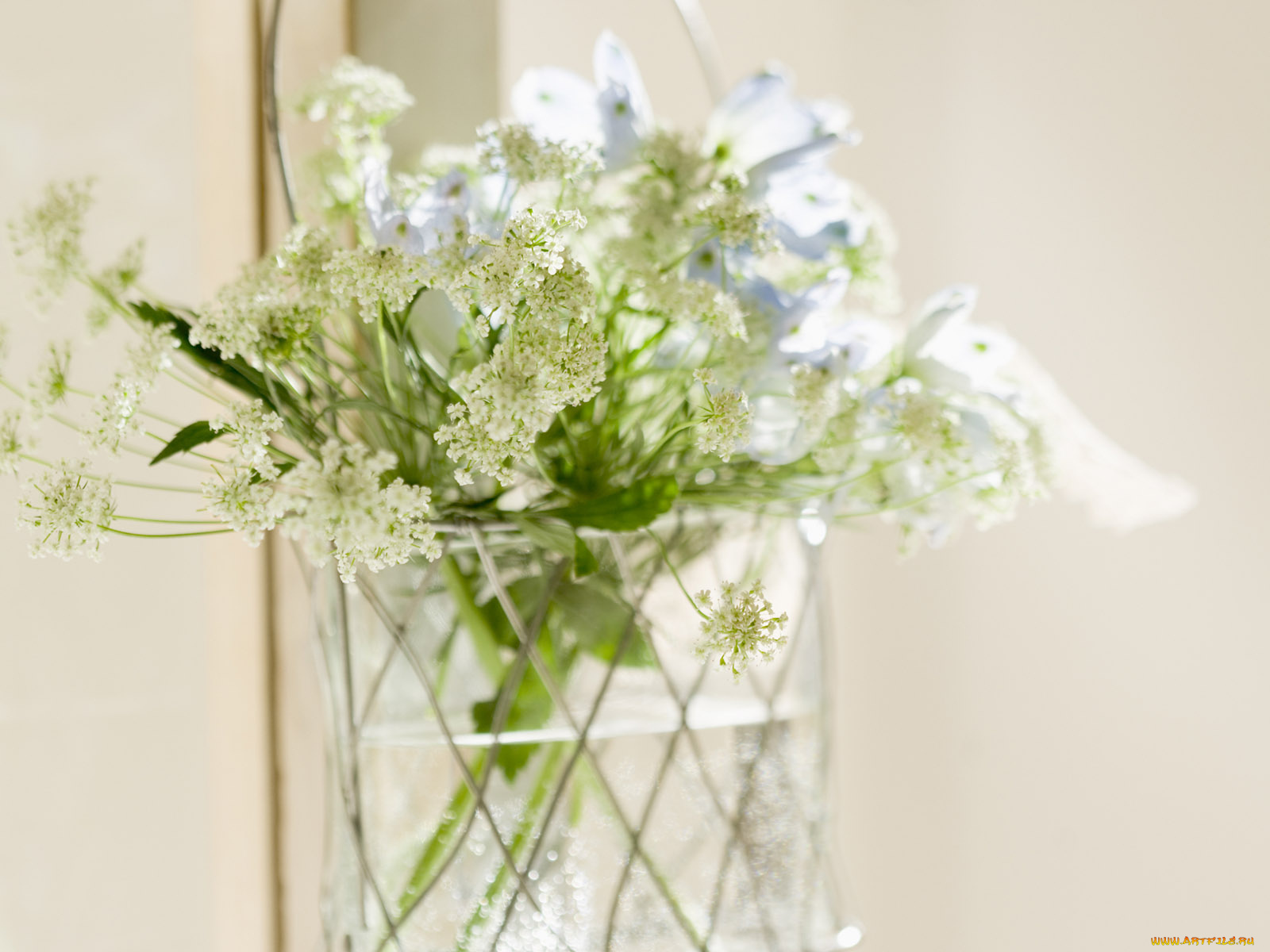 цветы, букеты, композиции