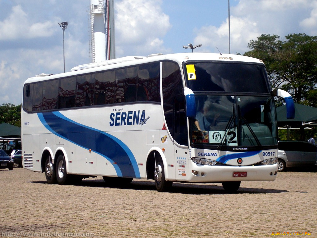 автомобили, автобусы