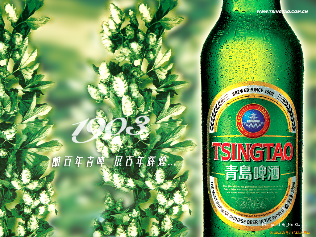 tsingtao, бренды