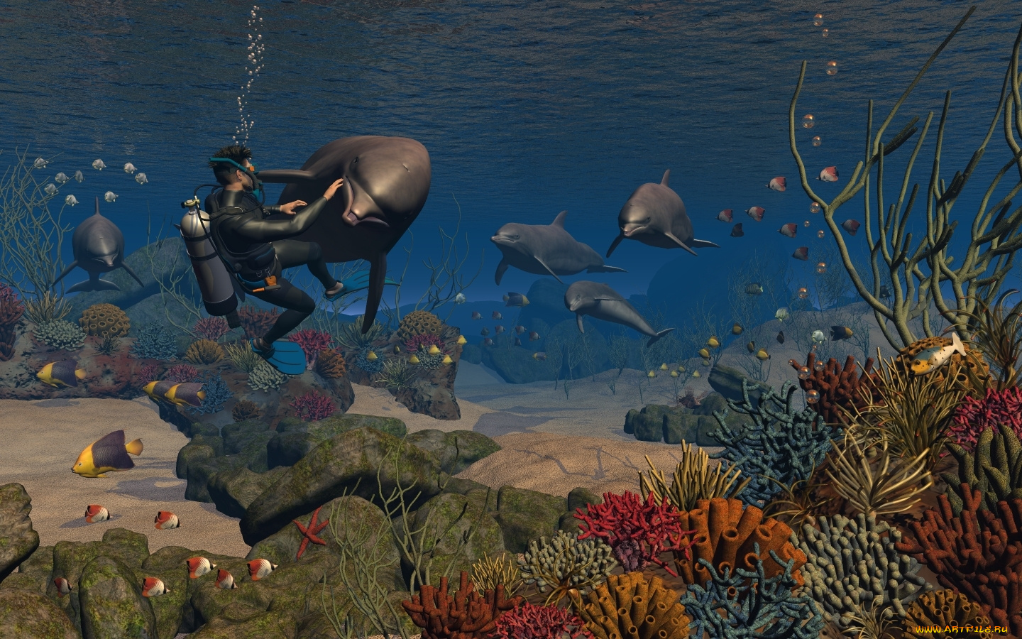 3д, графика, sea, undersea, море