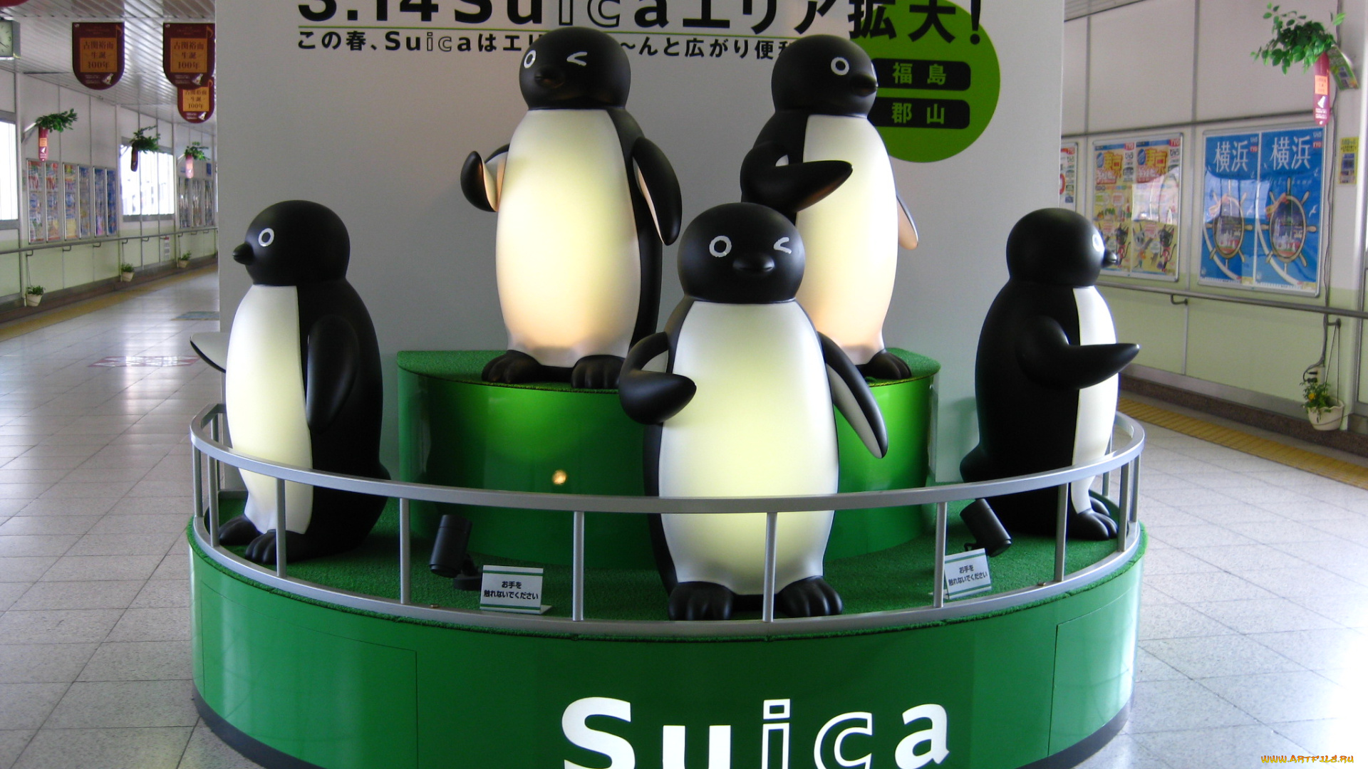 интерьер, холлы, лестницы, корридоры