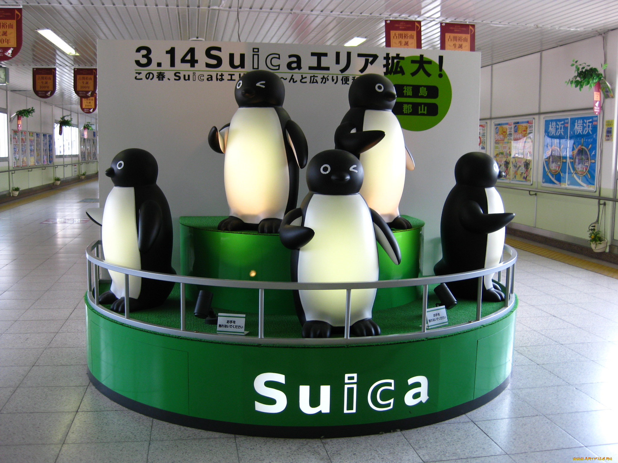 интерьер, холлы, лестницы, корридоры