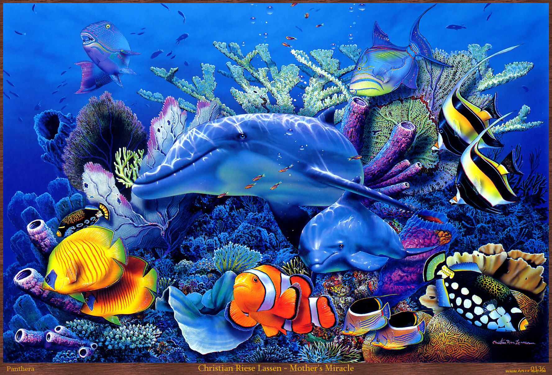 christian, riese, lassen, mothers, miracle, рисованные, дельфины, кораллы, рыбы, арт