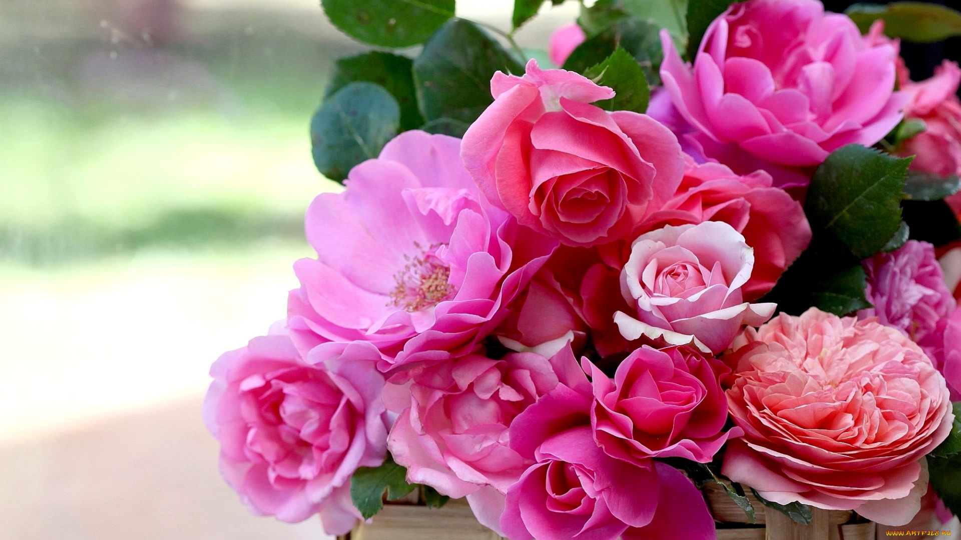 цветы, розы, корзинка, лепестки