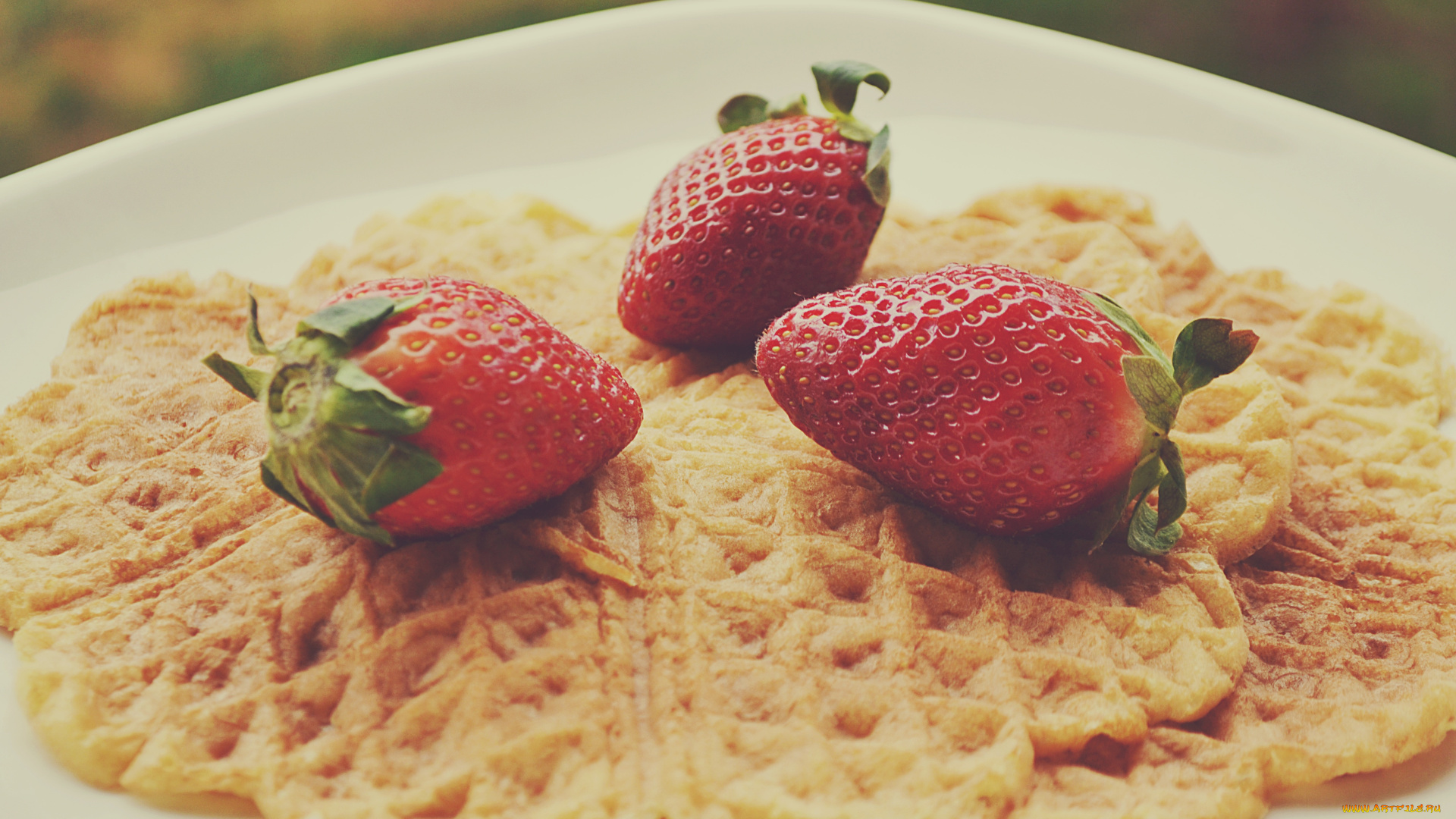 еда, клубника, земляника, вафли, тарелка