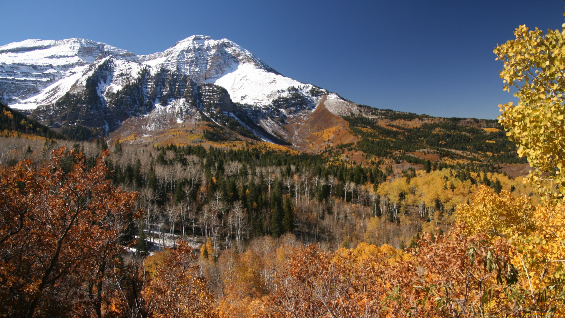 природа, горы, безоблачное, небо, синее, день, ясный, листья, деревья, лес, осень