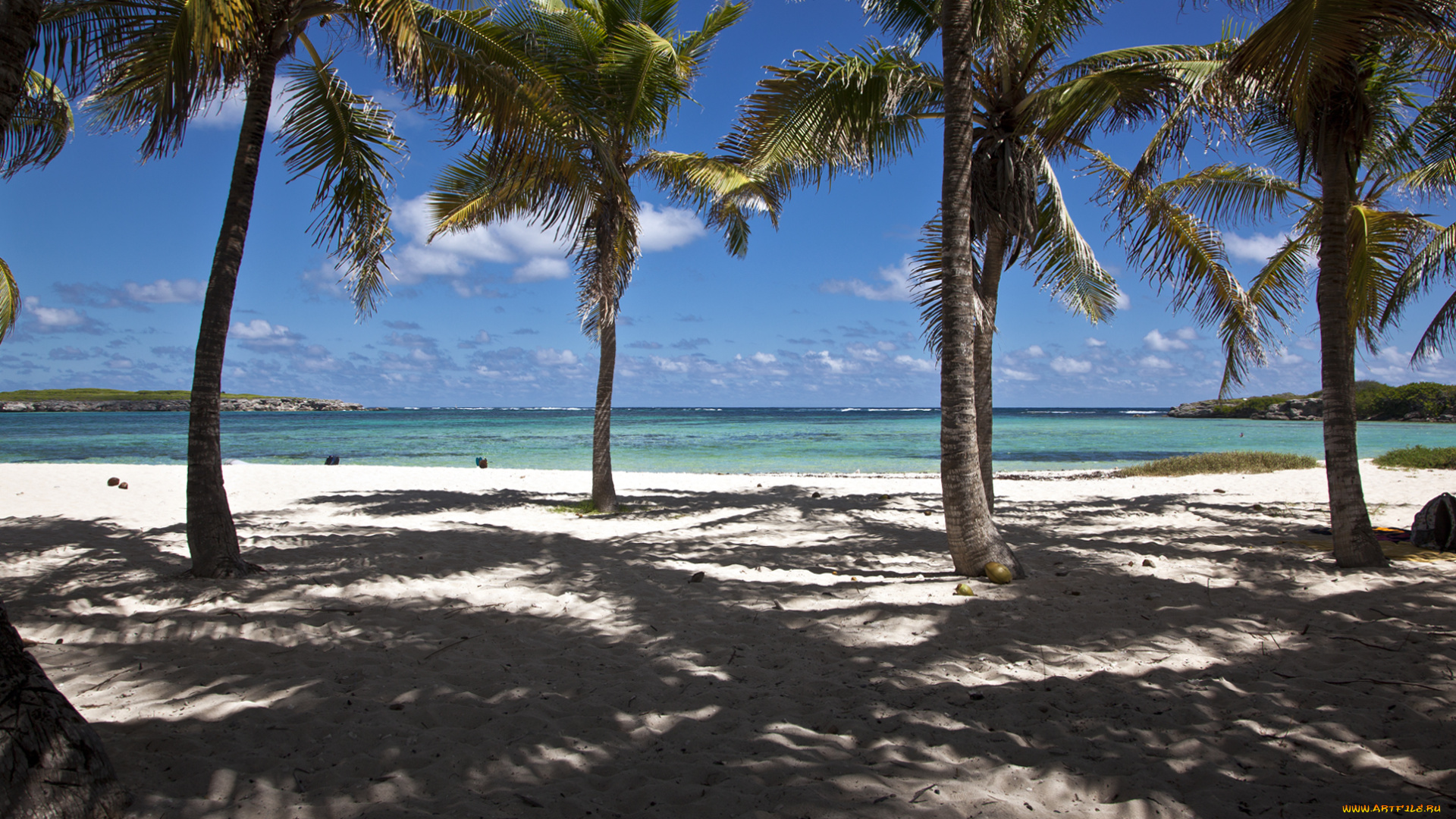 природа, тропики, море, берег, пальмы, океан, пляж