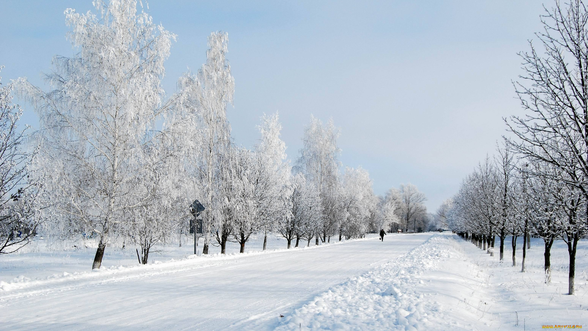 природа, зима, иний, деревья, снег, дорога