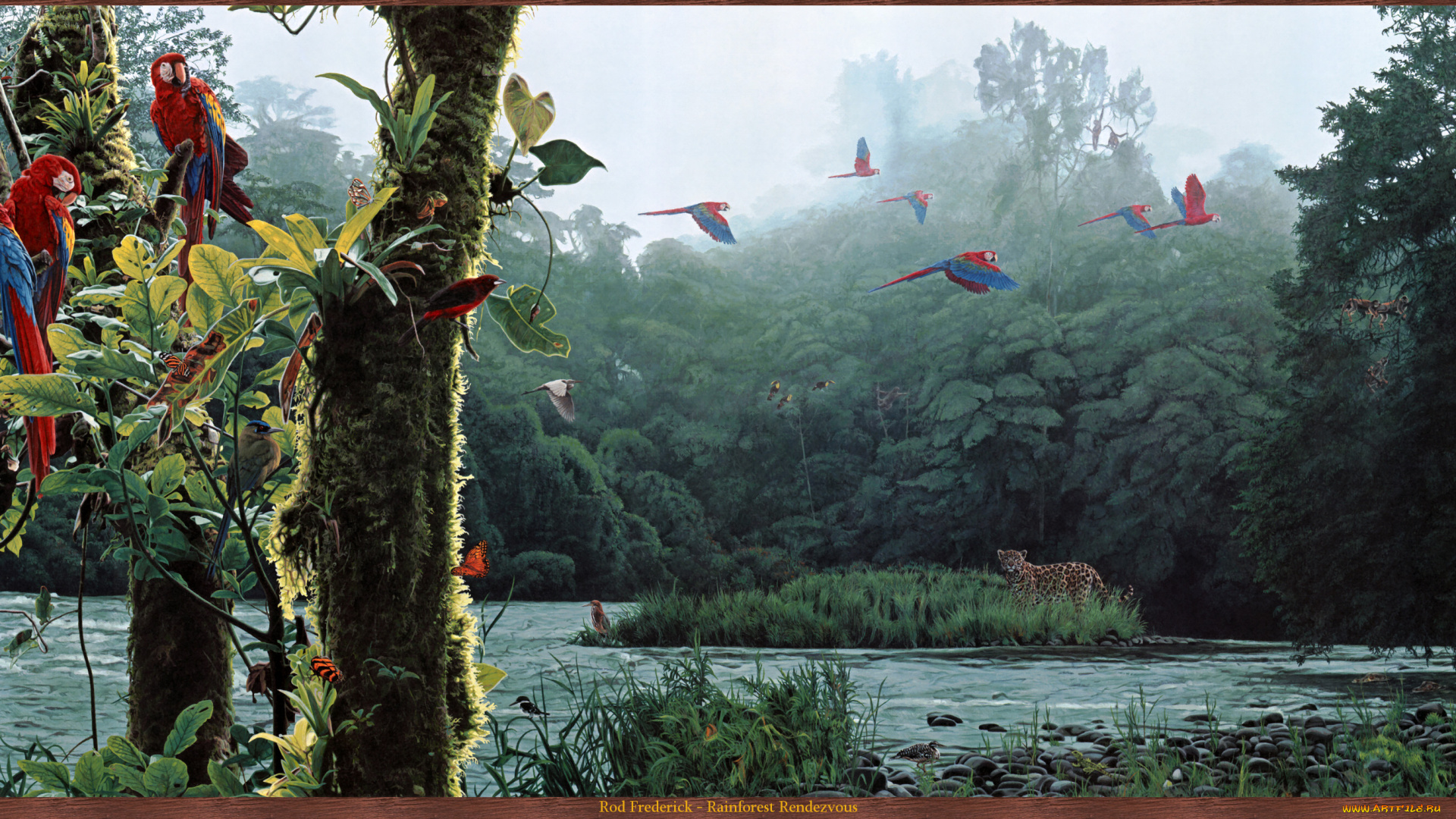 rod, frederick, rainforest, rendezvous, рисованные, лес, река, попугаи, леопард, арт
