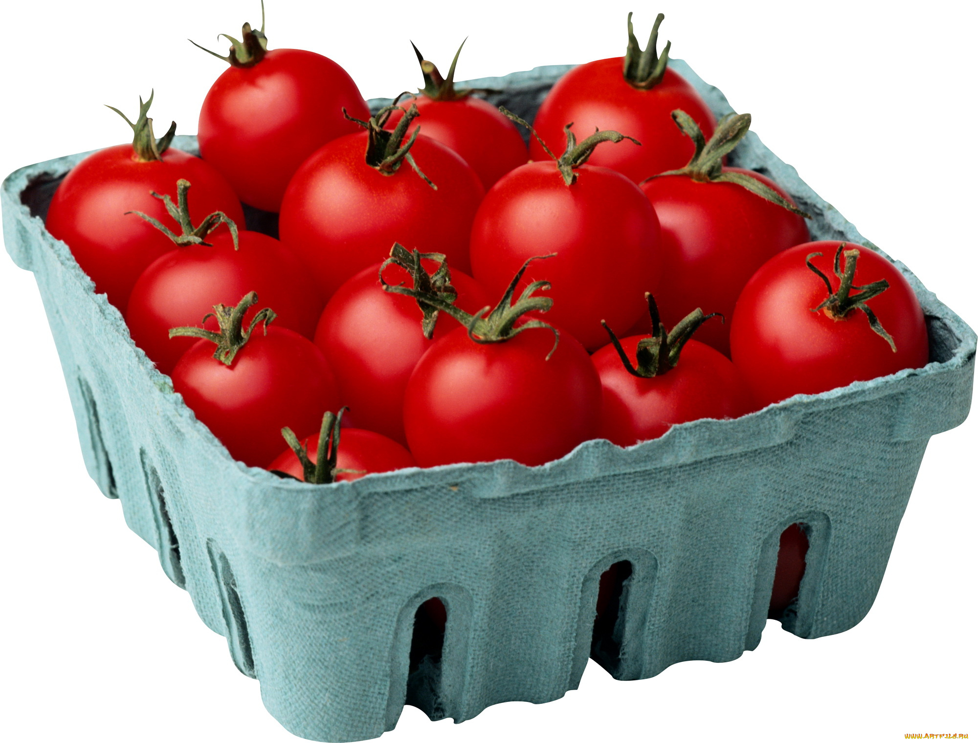 еда, помидоры, томаты