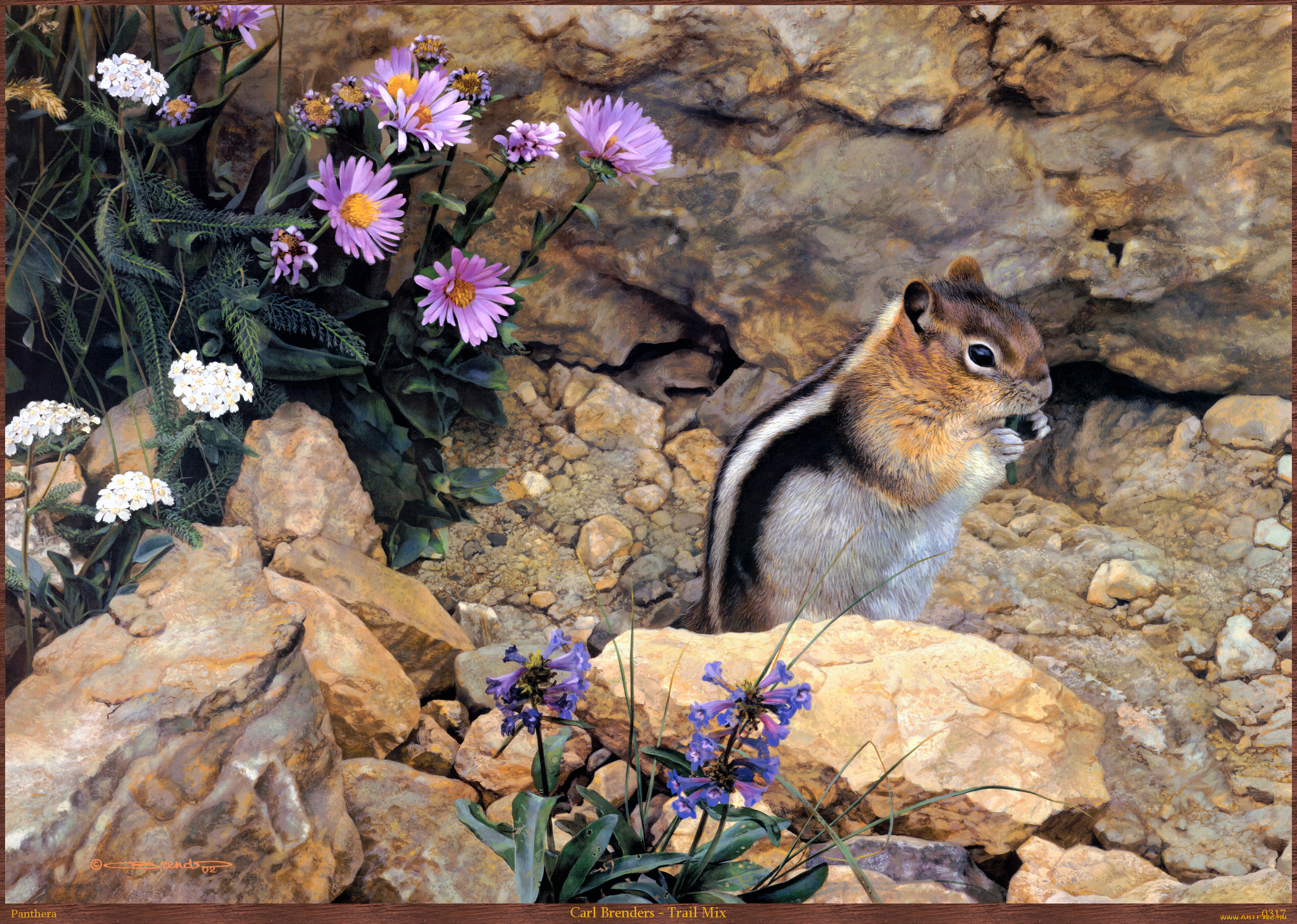 carl, brenders, trail, mix, рисованные, арт, бурундук, камни, цветы