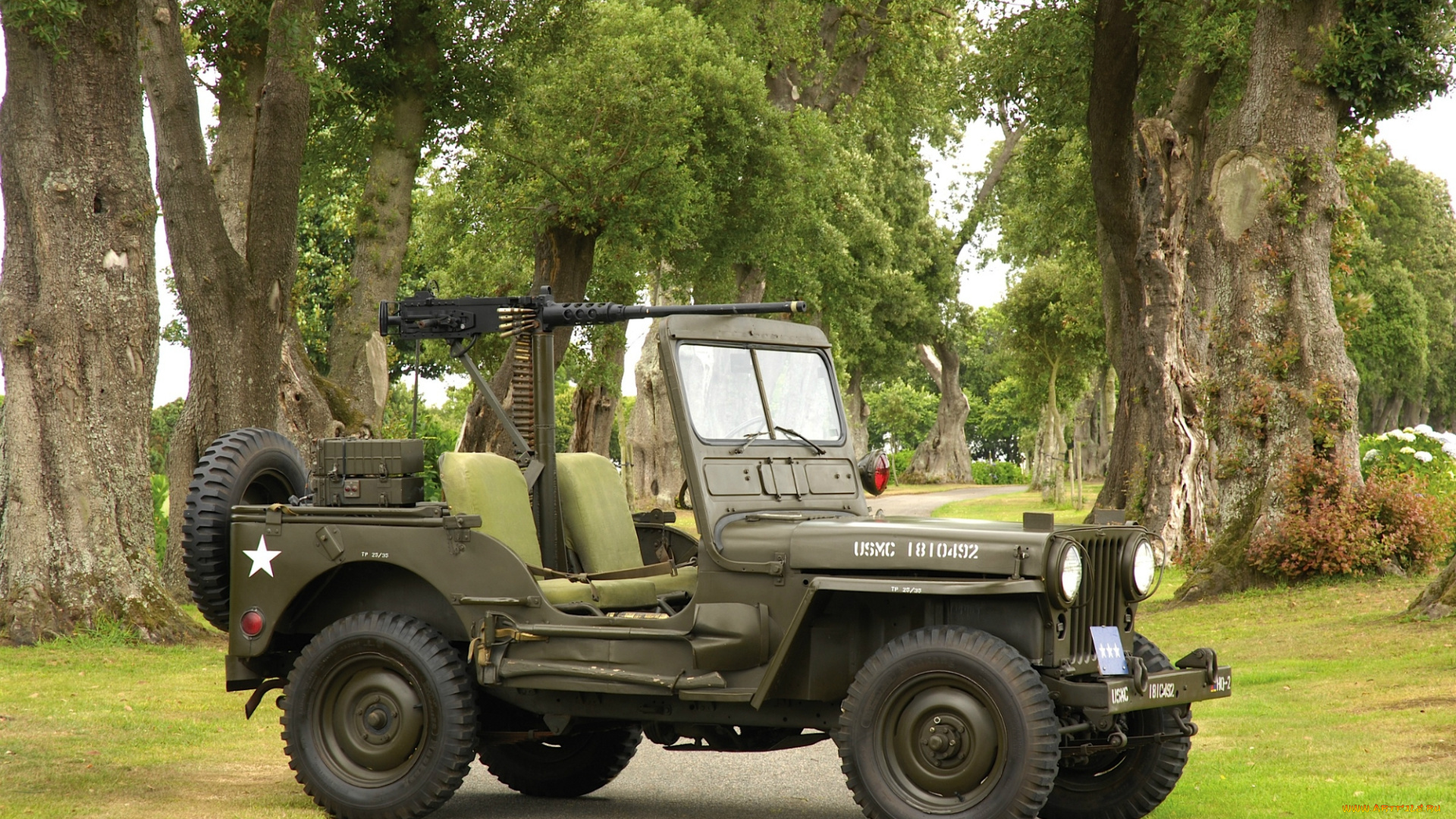 автомобили, jeep, willys