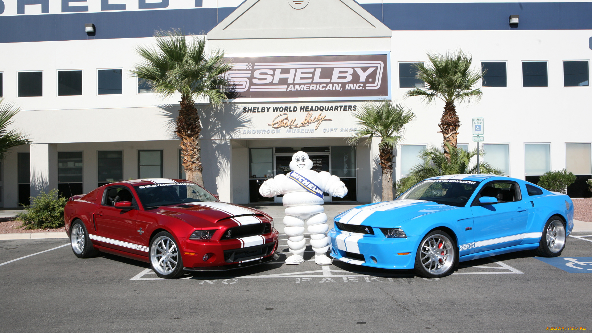 автомобили, mustang, shelby