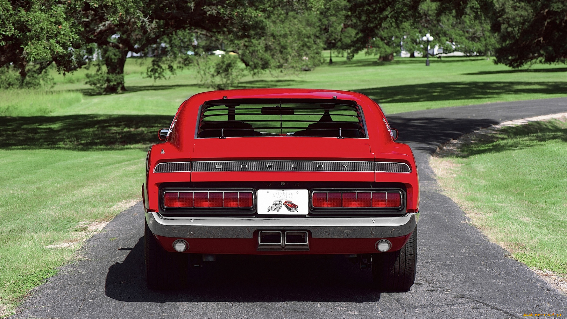 ford, mustang, shelby, gt500, автомобили