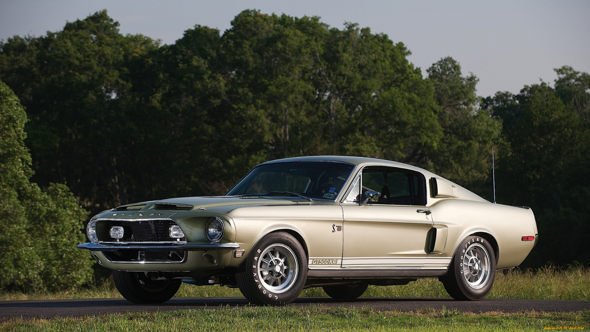 ford, mustang, shelby, gt500, kr, автомобили